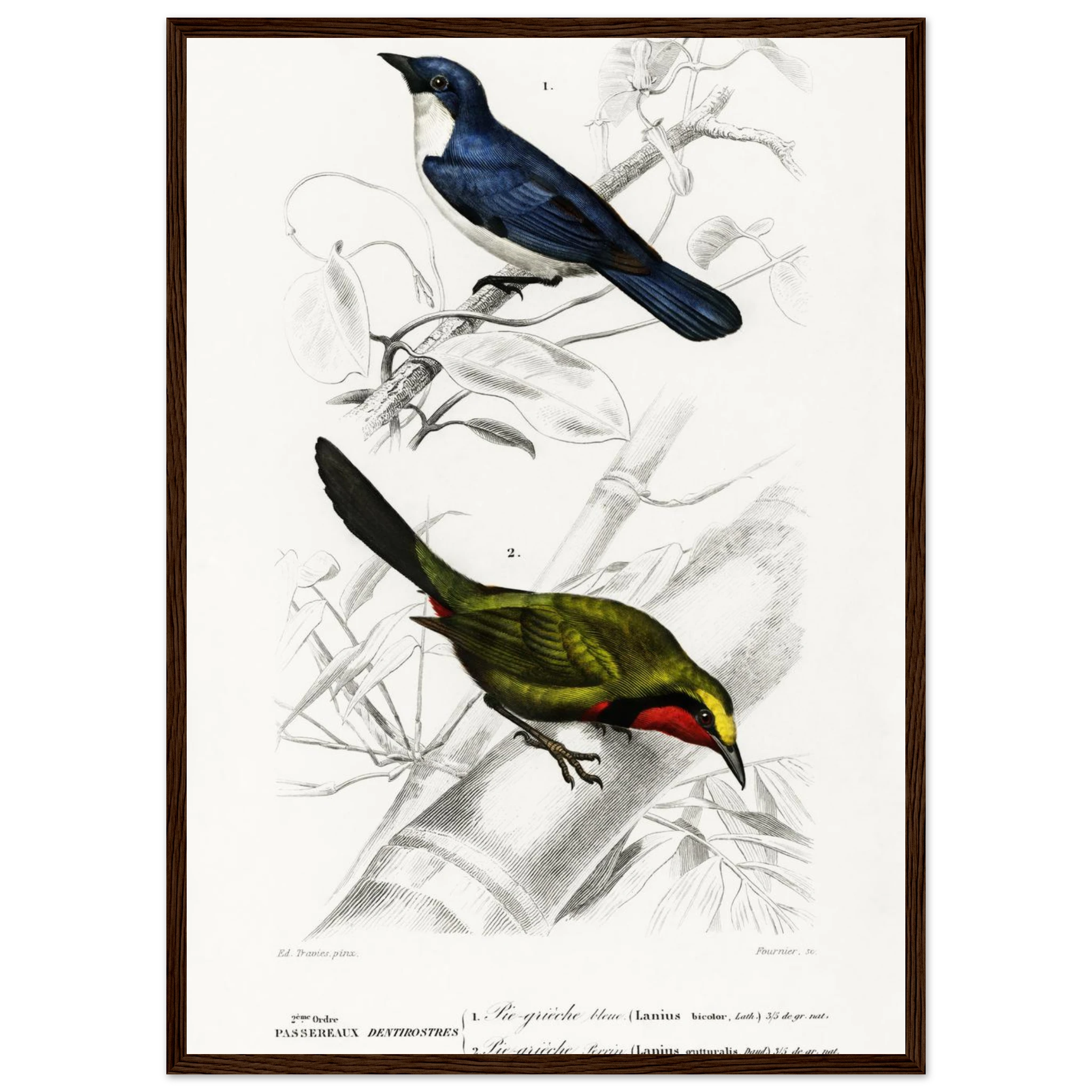 51a0f61f-9a0a-4e19-86ef-967936859b42