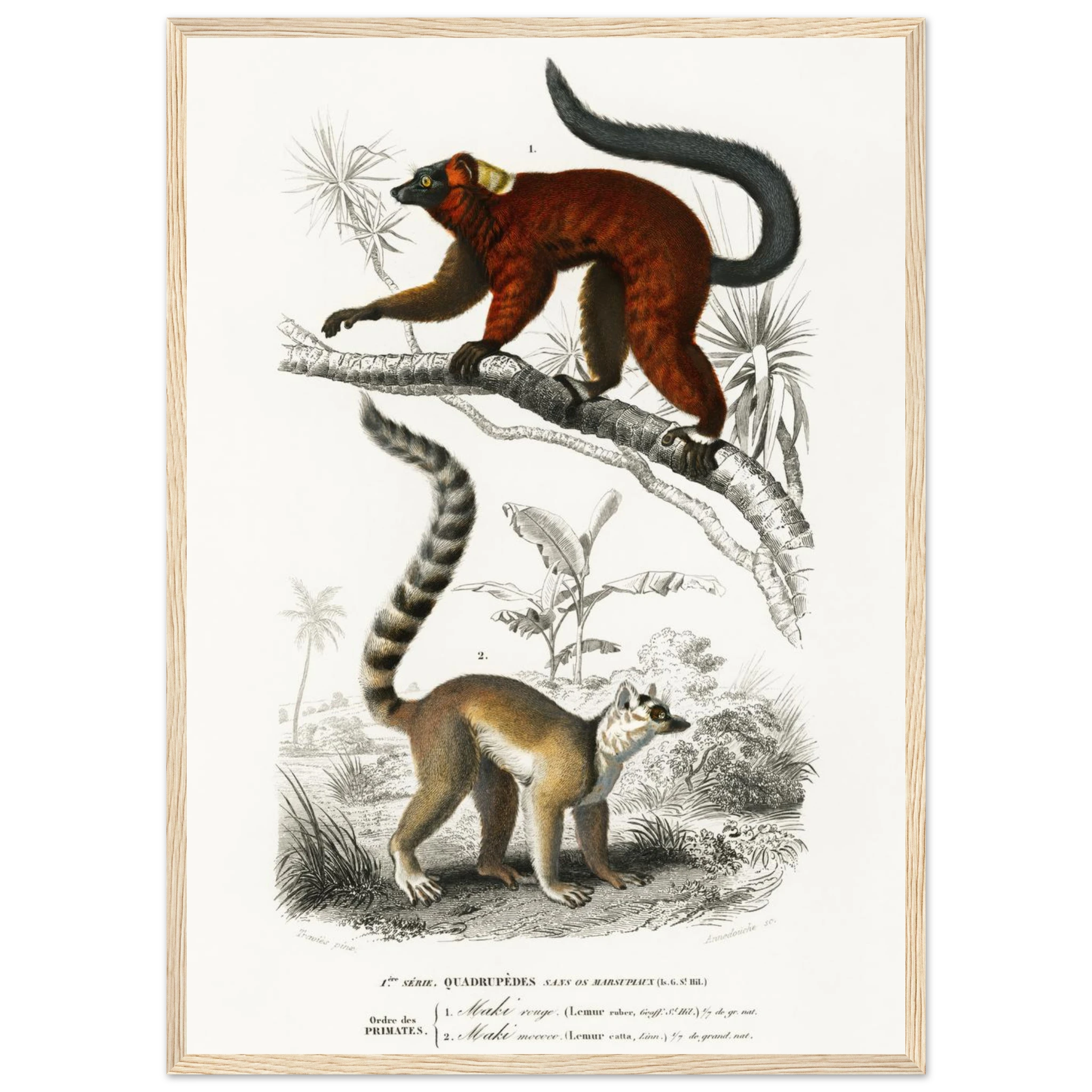 51c8e6b1-d73e-4592-8205-7d8ad073715e