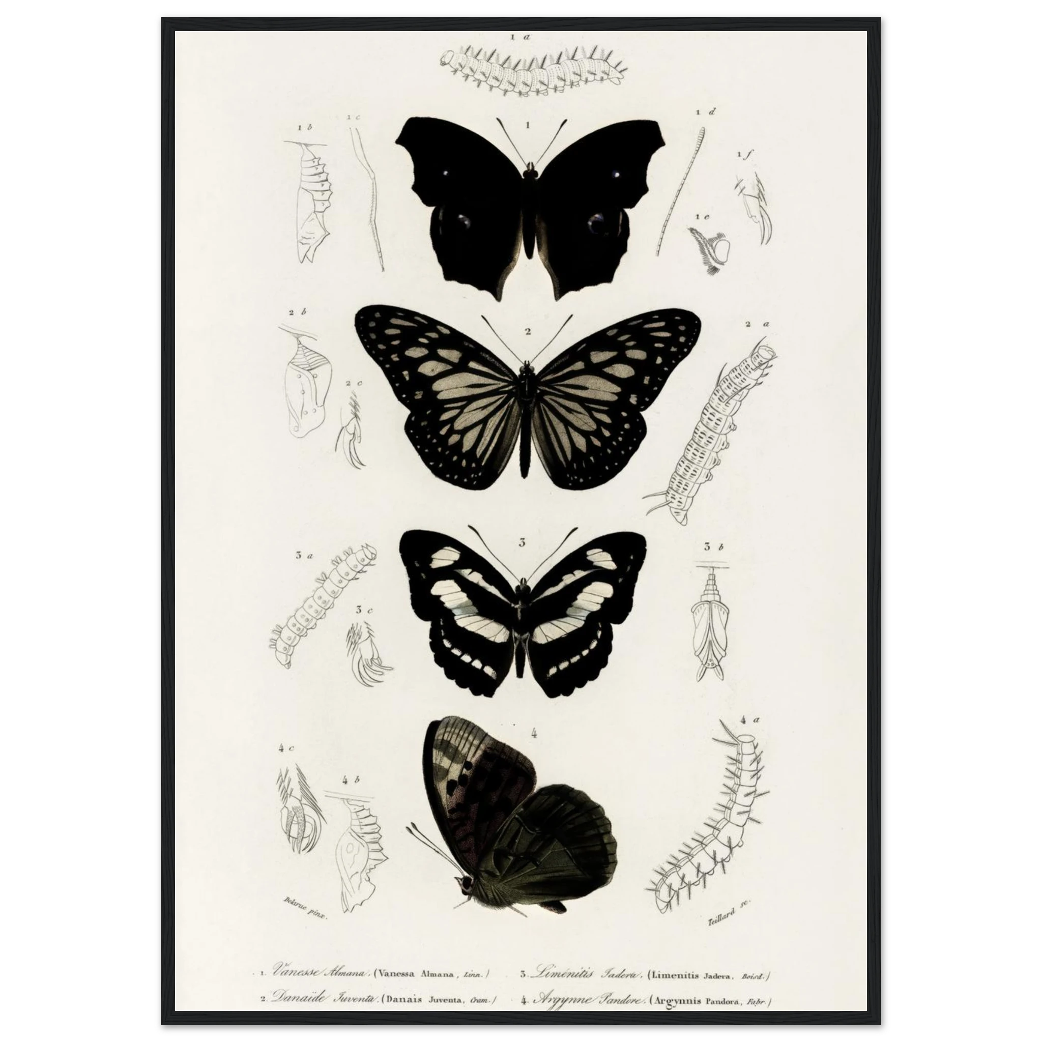 5242c6d4-c0db-42b3-80fe-0879e4df7132