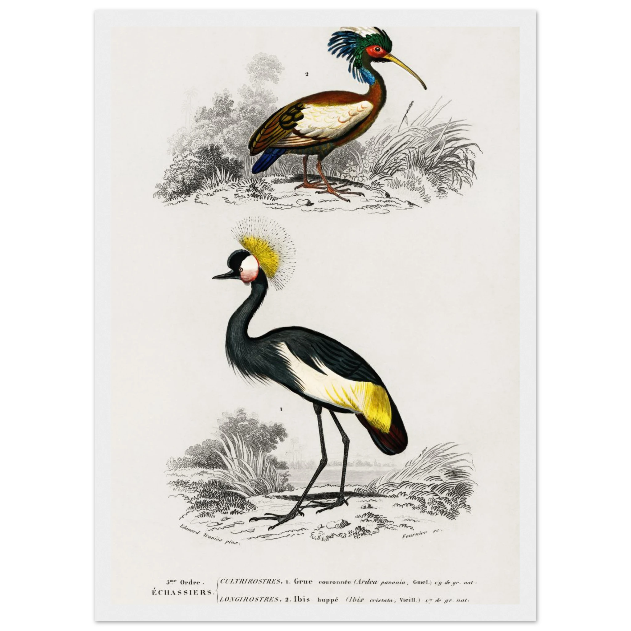 52d60a67-157a-47ce-9baa-cd2984c5acf4