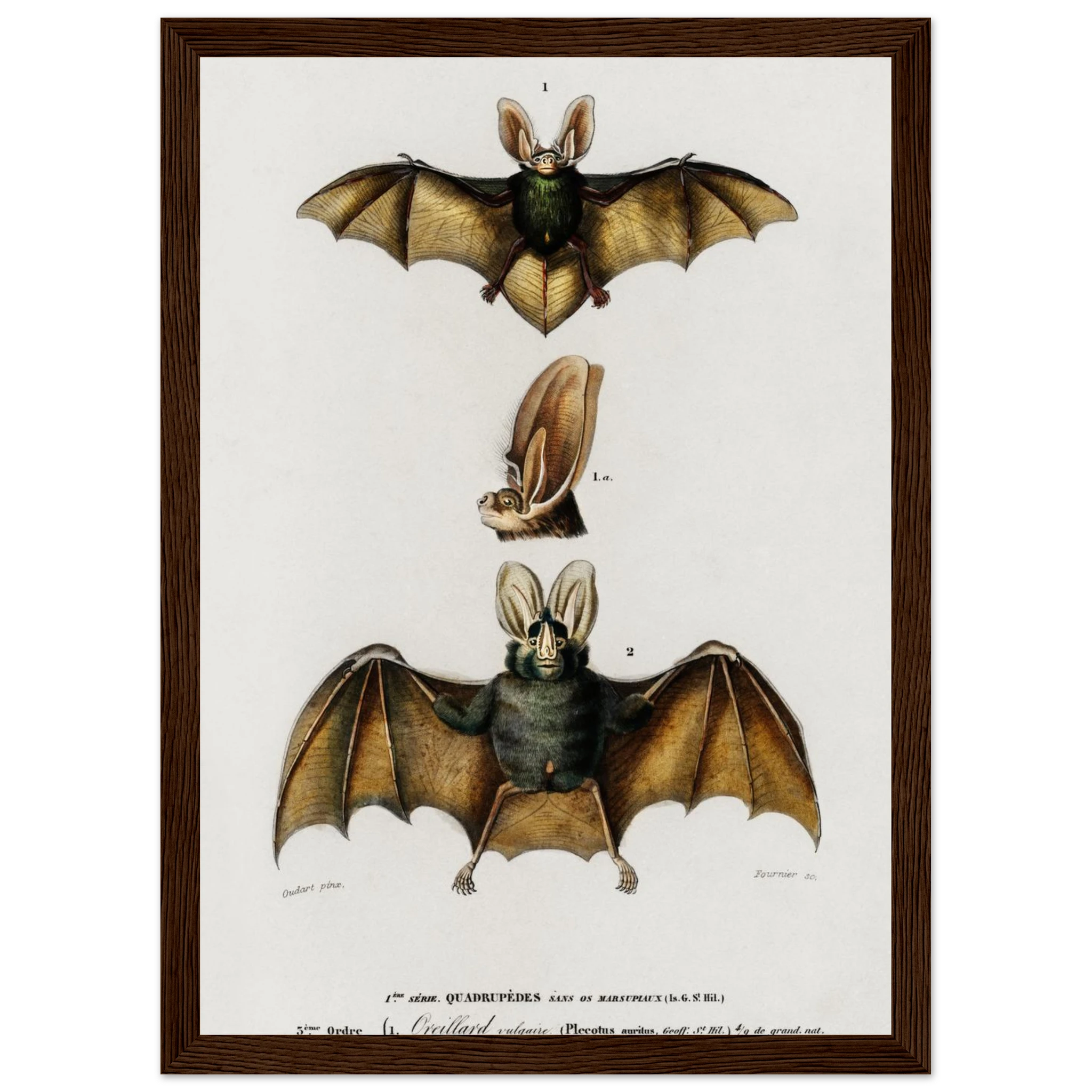 52f93415-e1e0-440b-8736-81e3466a3f7c