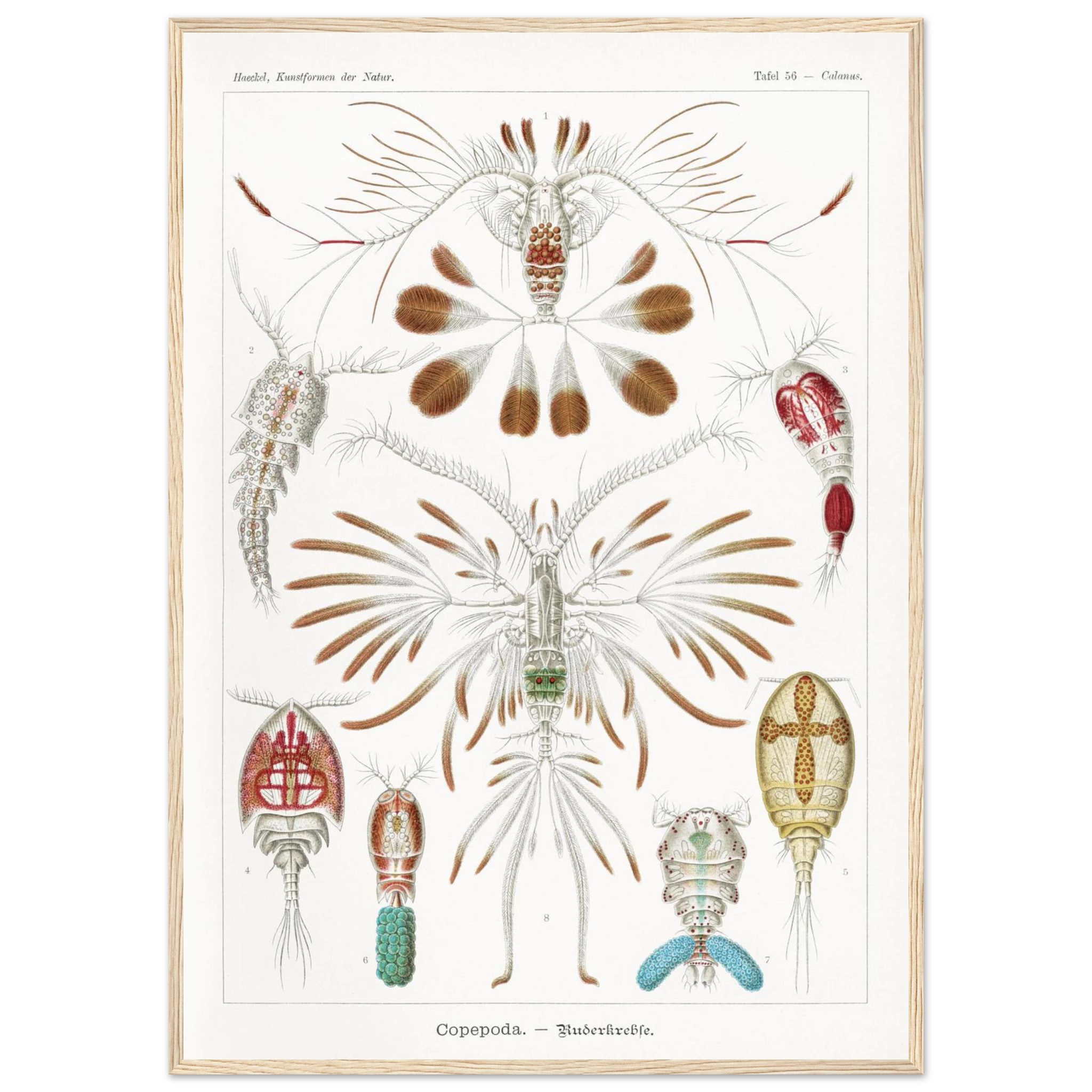 53093dfa-ad18-454d-8f0a-6d9962fed225