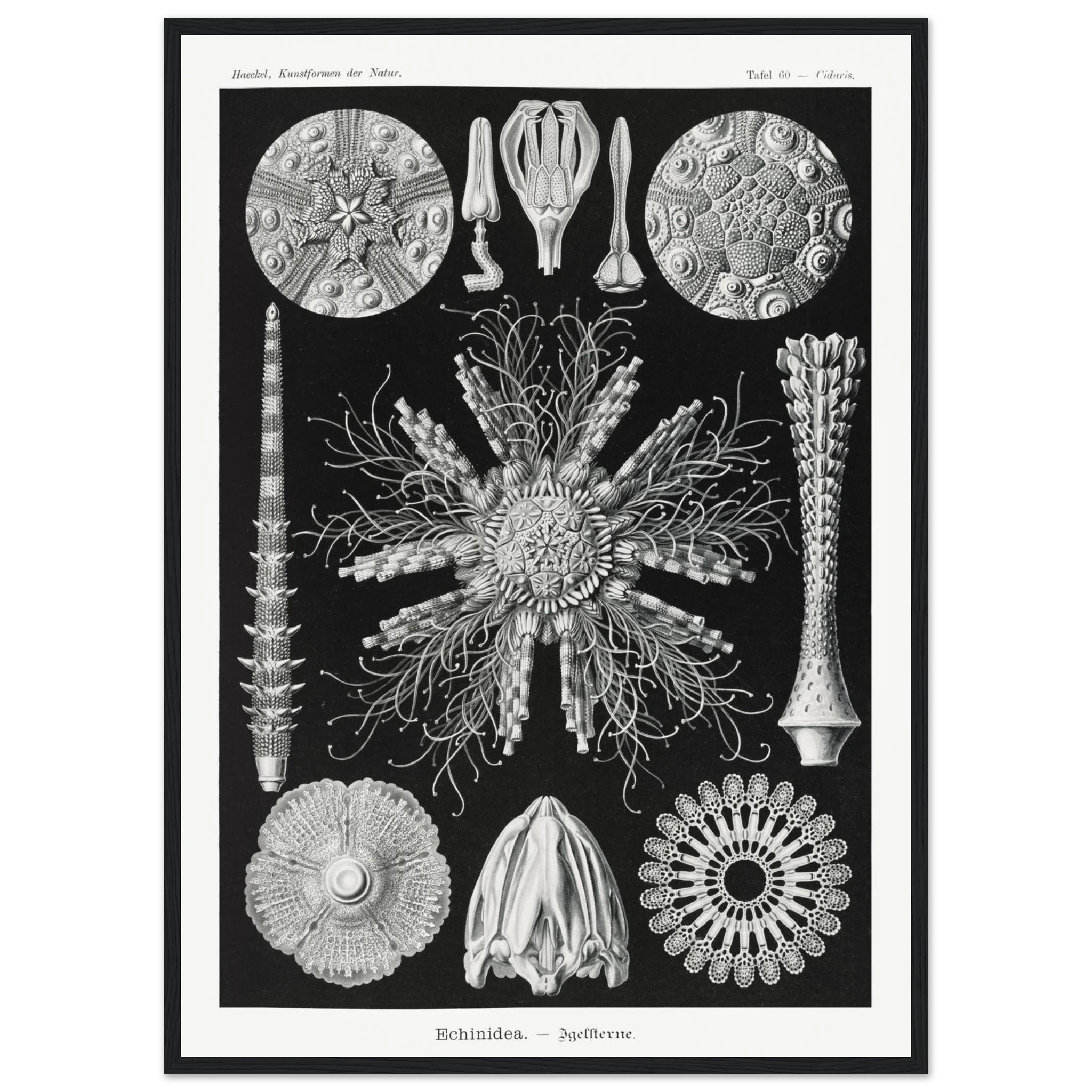 530e35bc-0e46-46aa-af20-f026ed0a186c