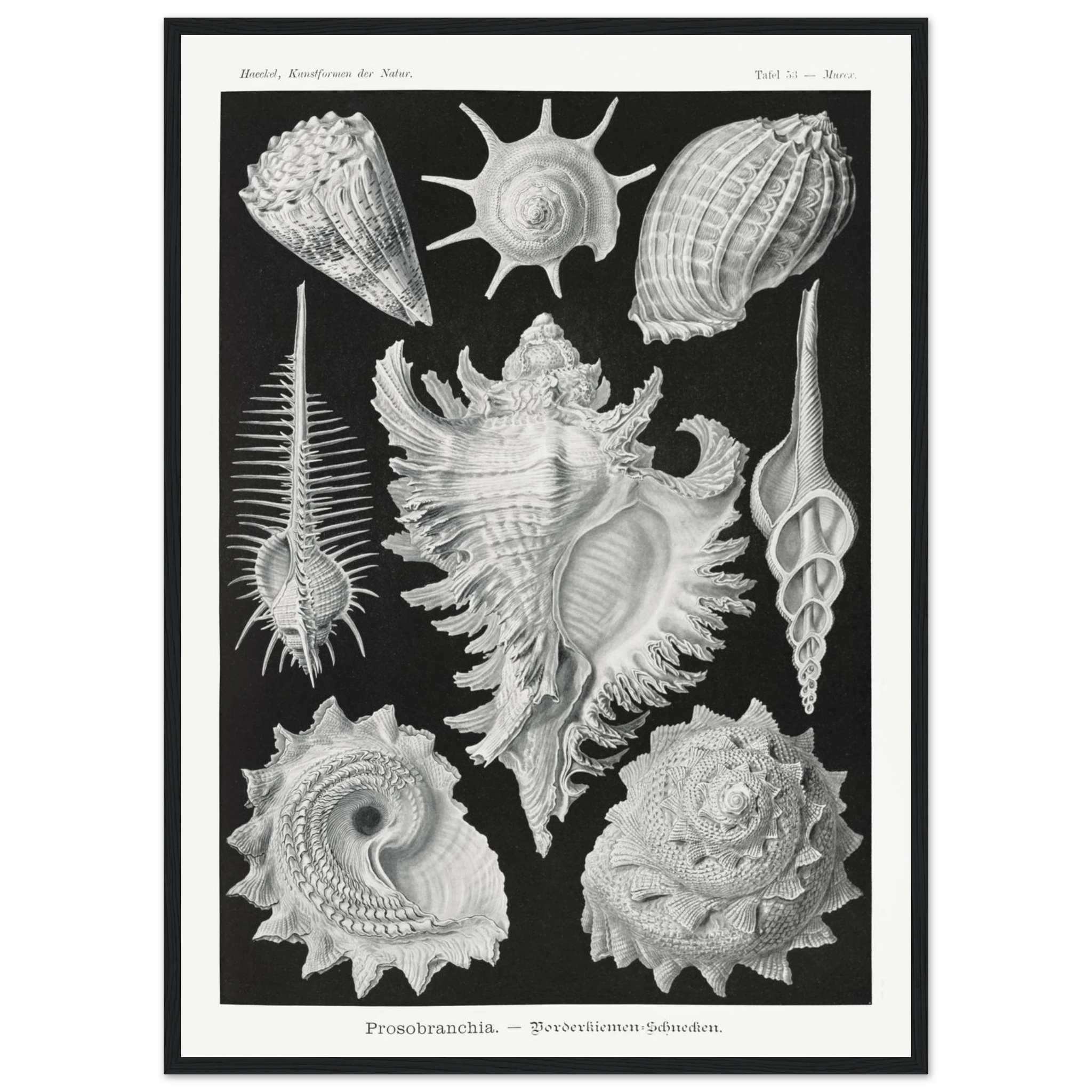 53176c1f-e029-4b46-8af2-b7642a0aba25