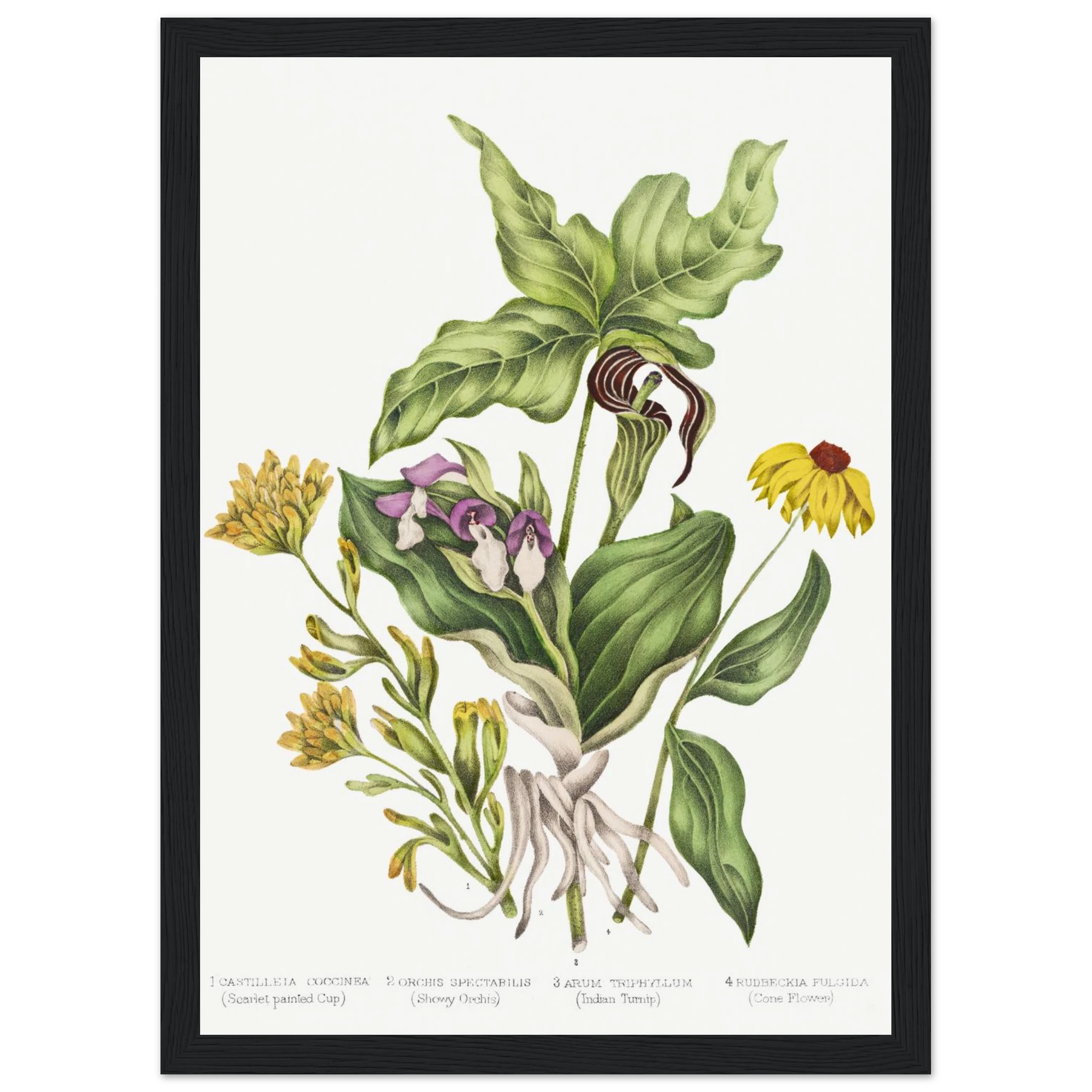 534db538-f199-4d4a-872c-886f76f02c58