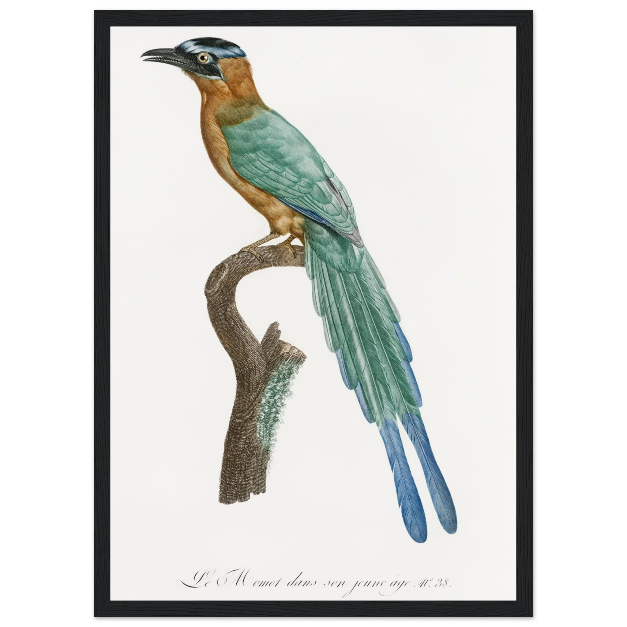 53705828-02a5-423e-bbb1-0ac762dba66d