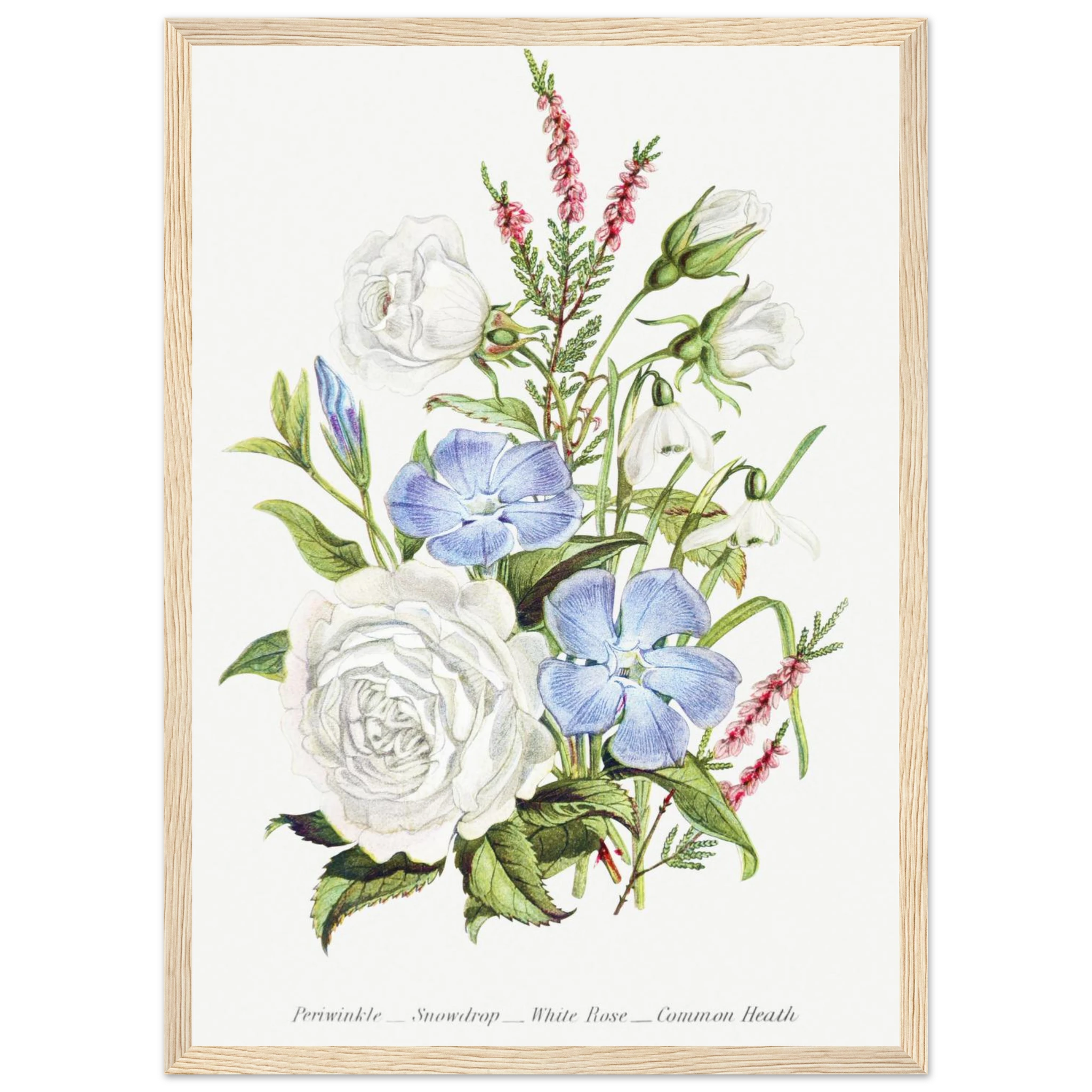 539c034c-8196-4ffc-9c2d-4e2619dda44f