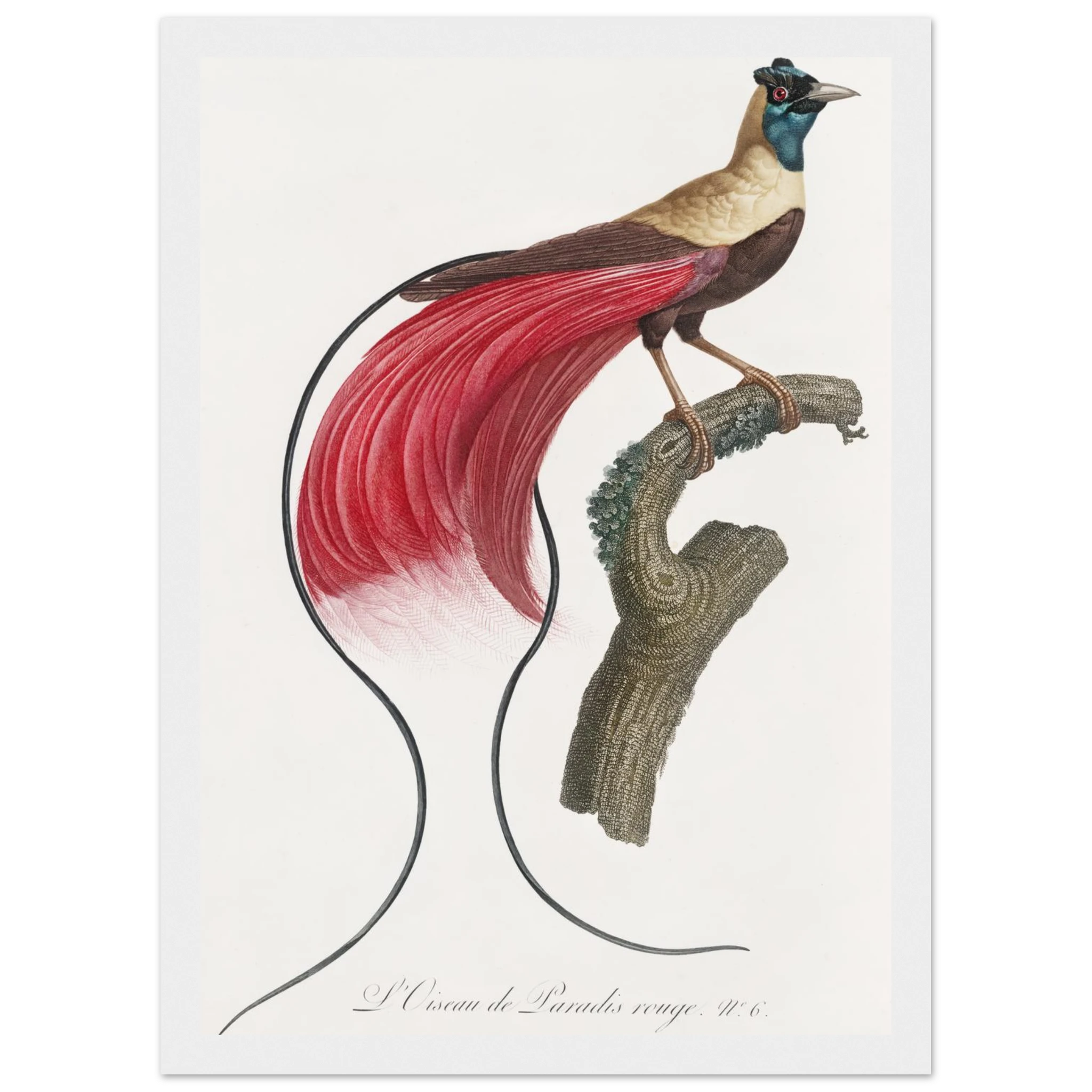 53ad1297-31c6-4c20-86c2-bead51bb8b14