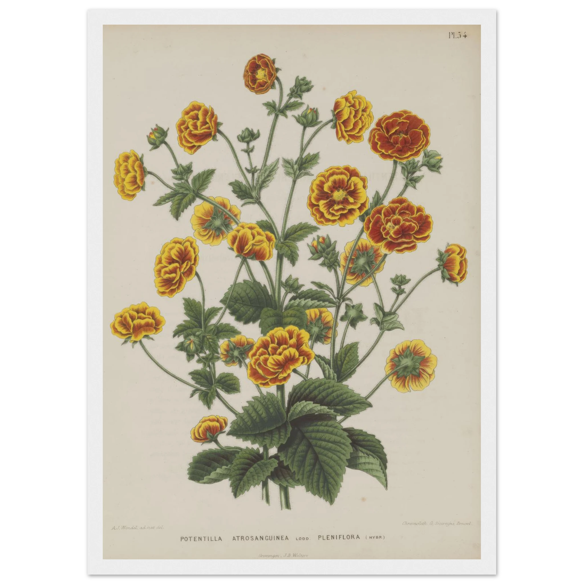 53b754f3-7542-4f78-9e50-649e2b0e707e