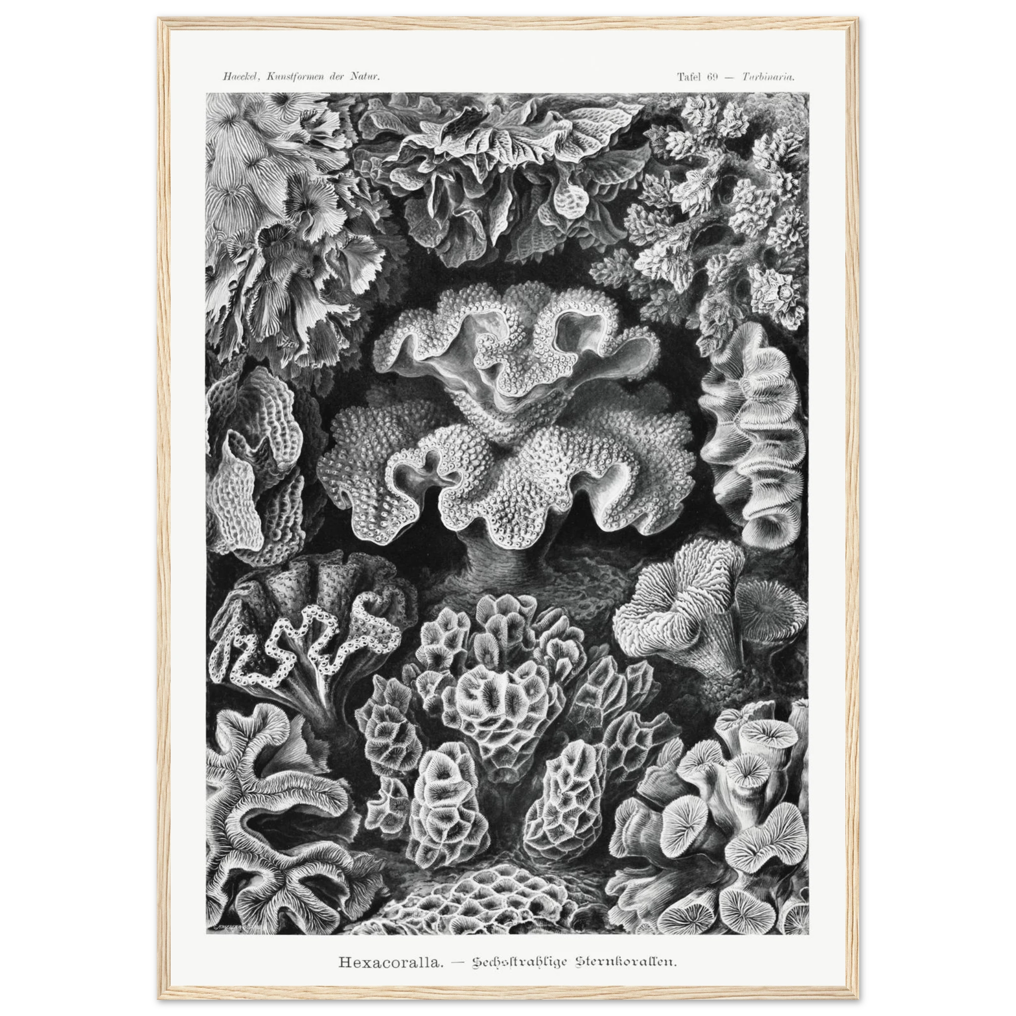 53b91896-da65-466f-85f8-27519698ef14