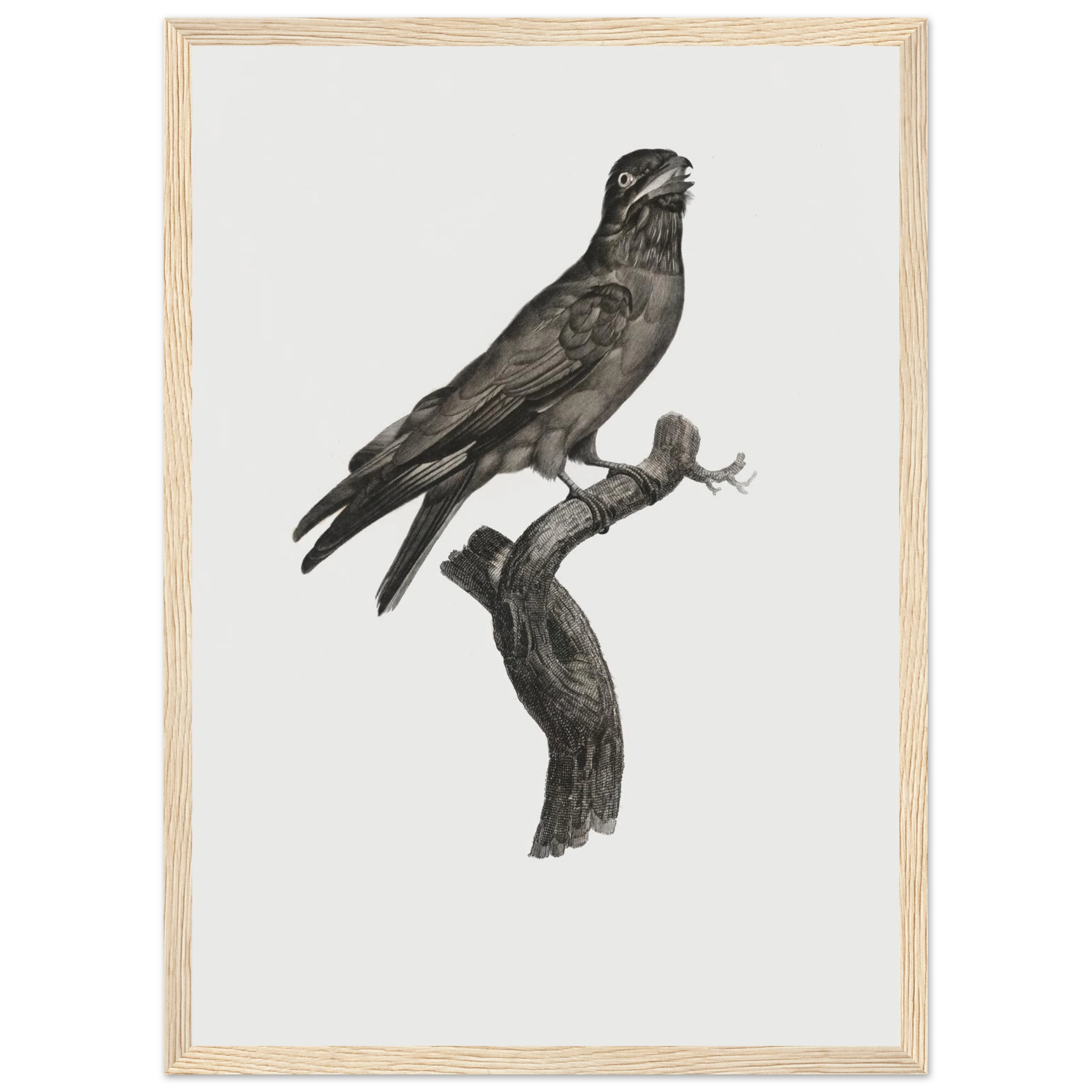 53ffd326-32a0-40d3-ae0f-1c469d82db73