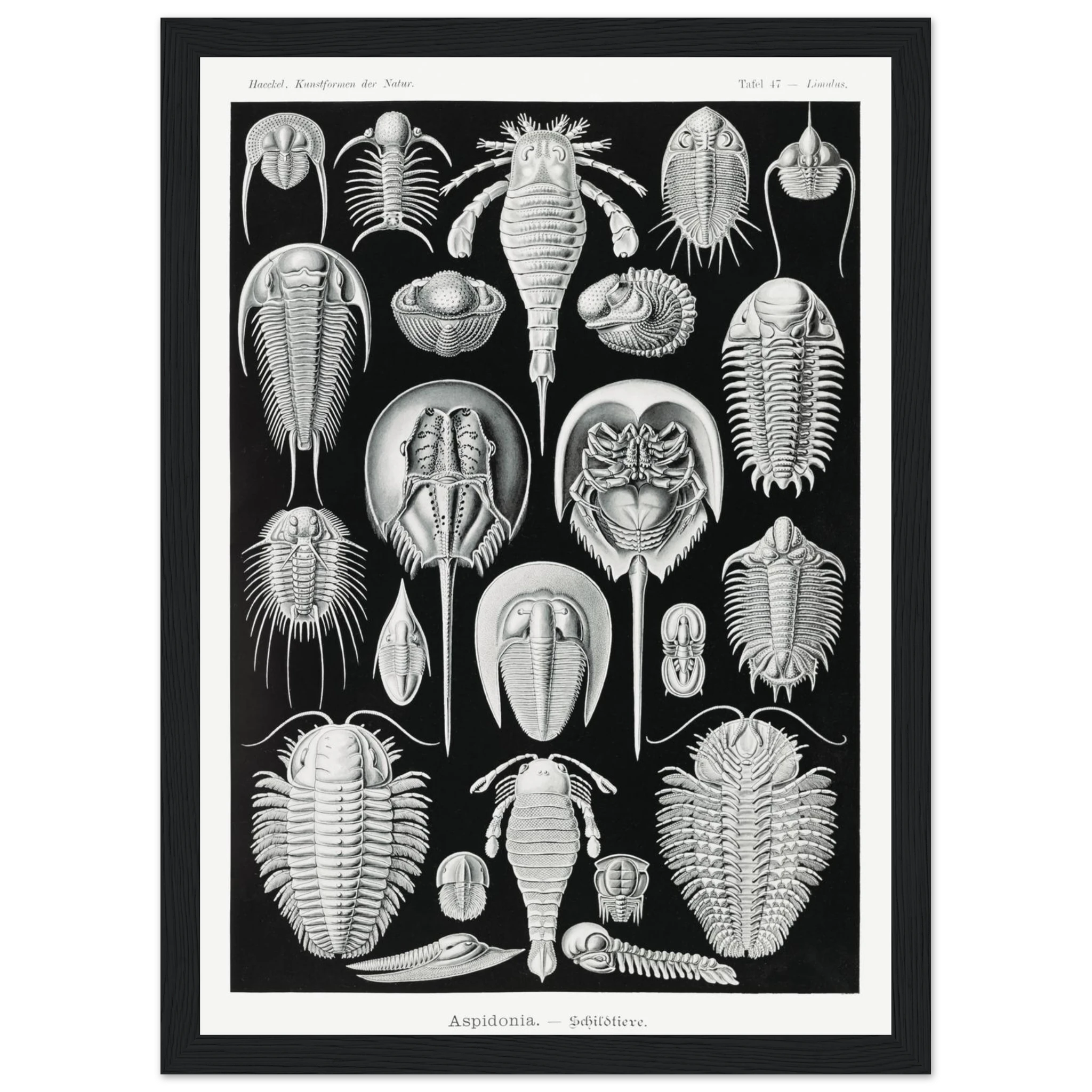 543a2d47-1c96-48a6-aa15-10e98ccaff0a