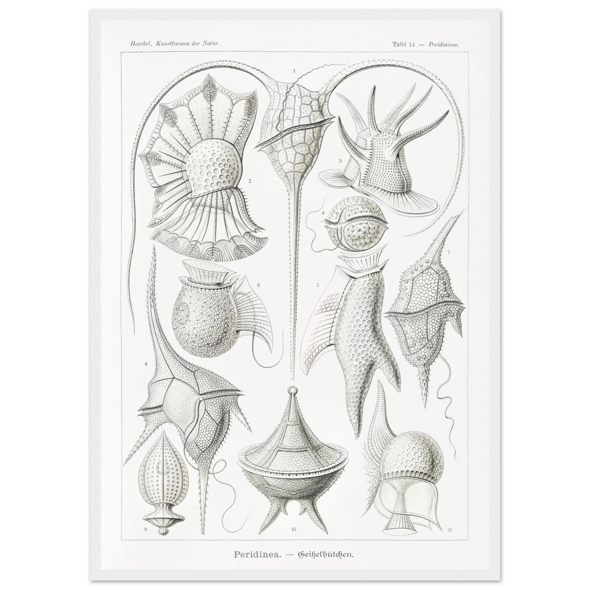 5453140a-153a-443b-9622-c3808fa072b8