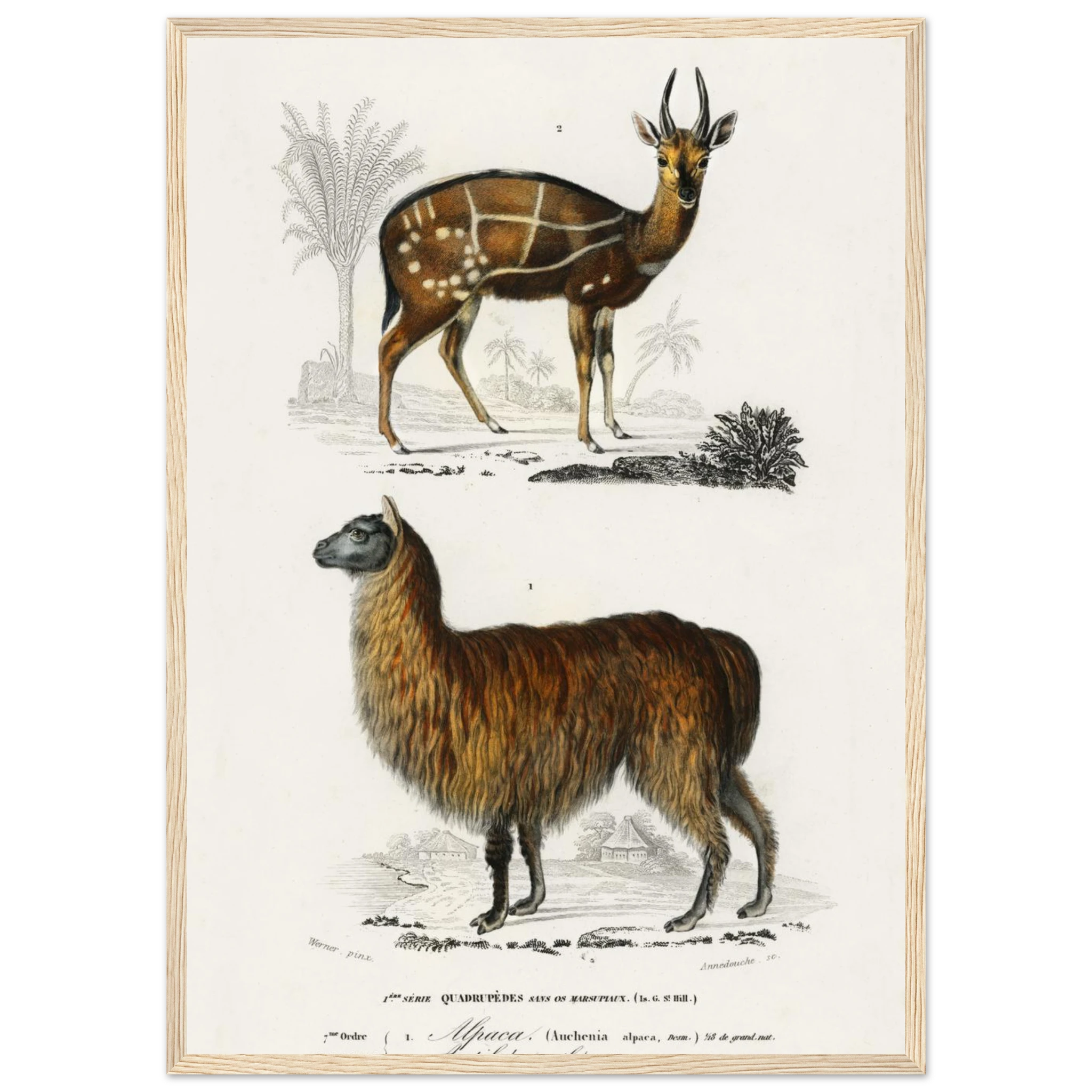 5476792d-9242-41e5-82b2-e3724037d588