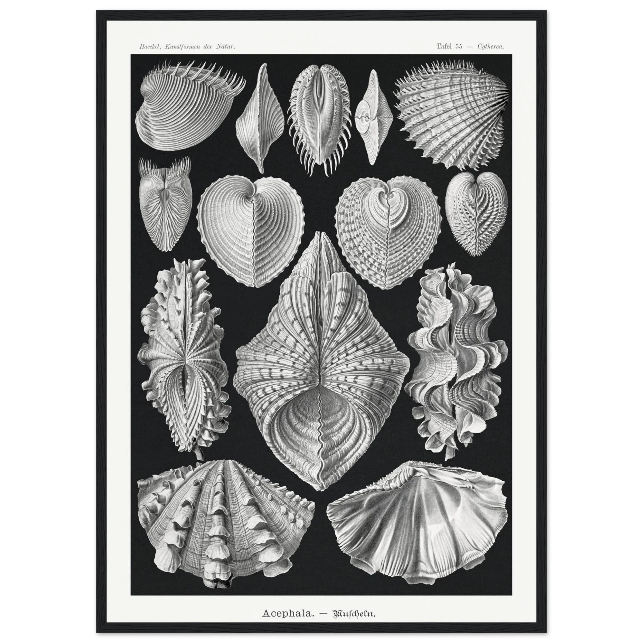 54a3ba57-575e-41f4-895b-92f065a0937c