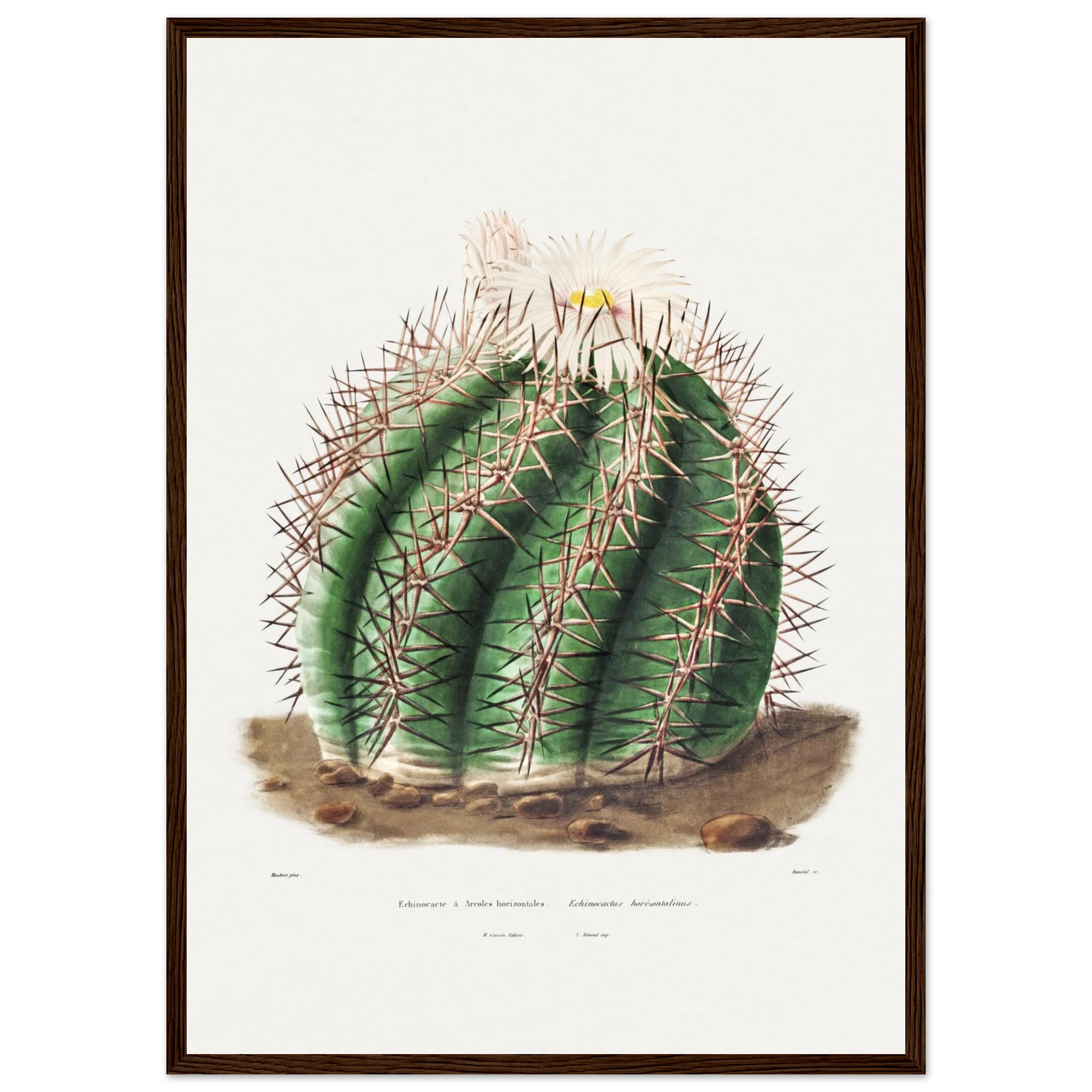 54cd9f08-3364-40d8-9422-75eefa11e80a