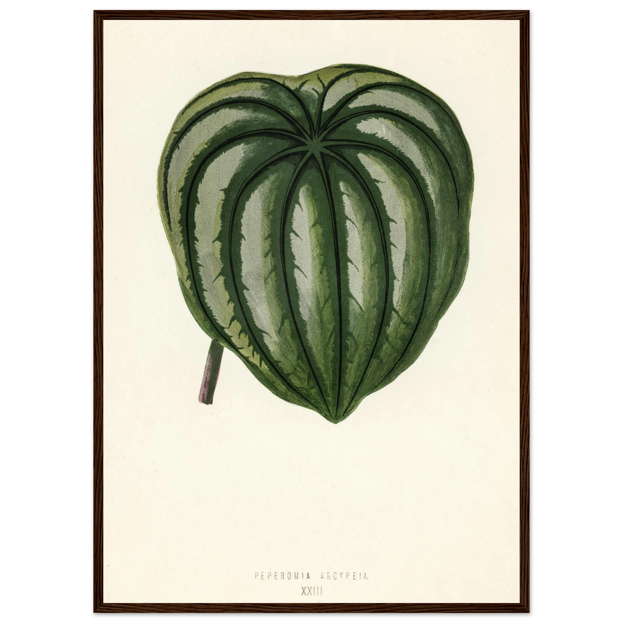 54e7642a-9a0d-406b-82a5-ac784b5025d3