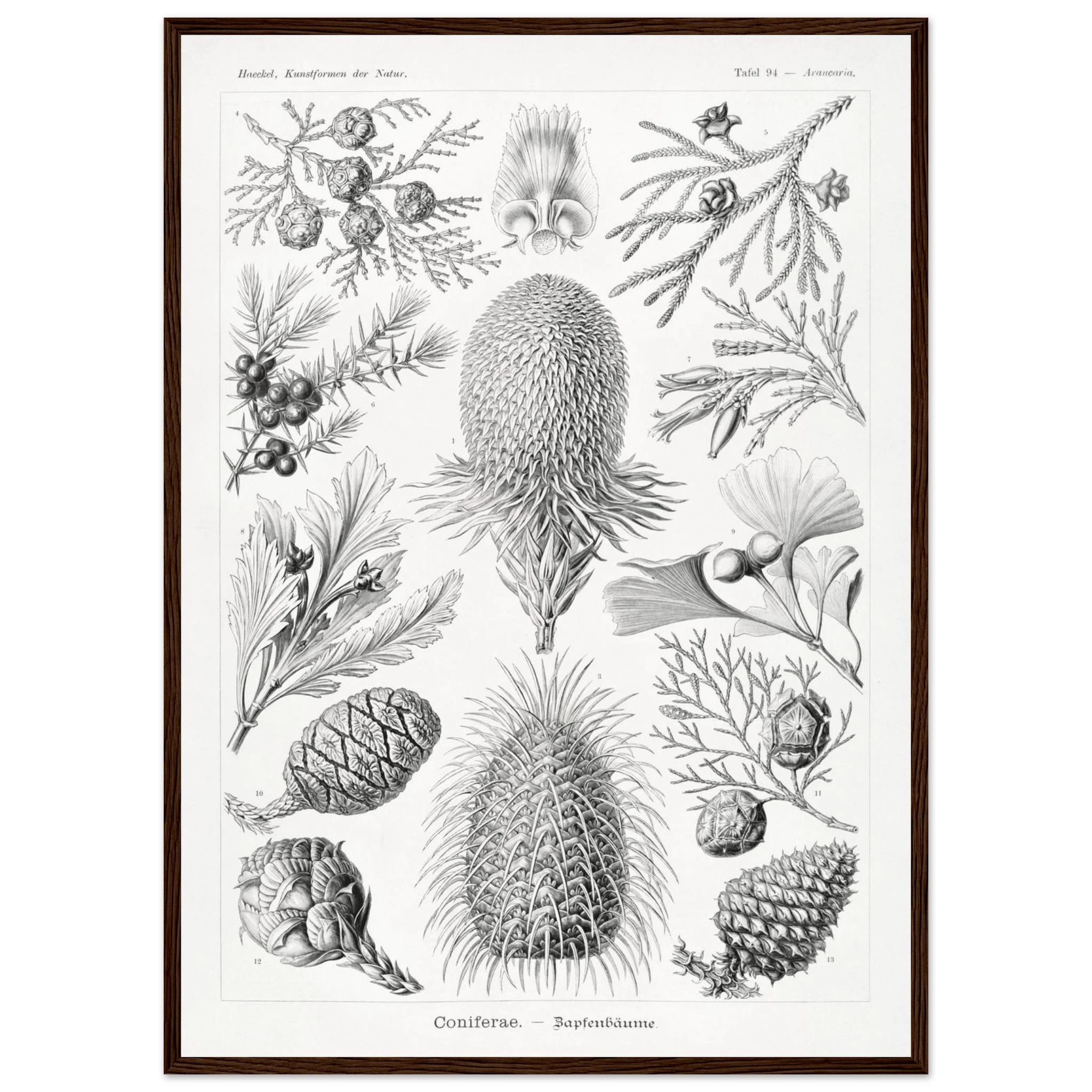 55101140-8736-4655-b0ad-0e8e0c95262b