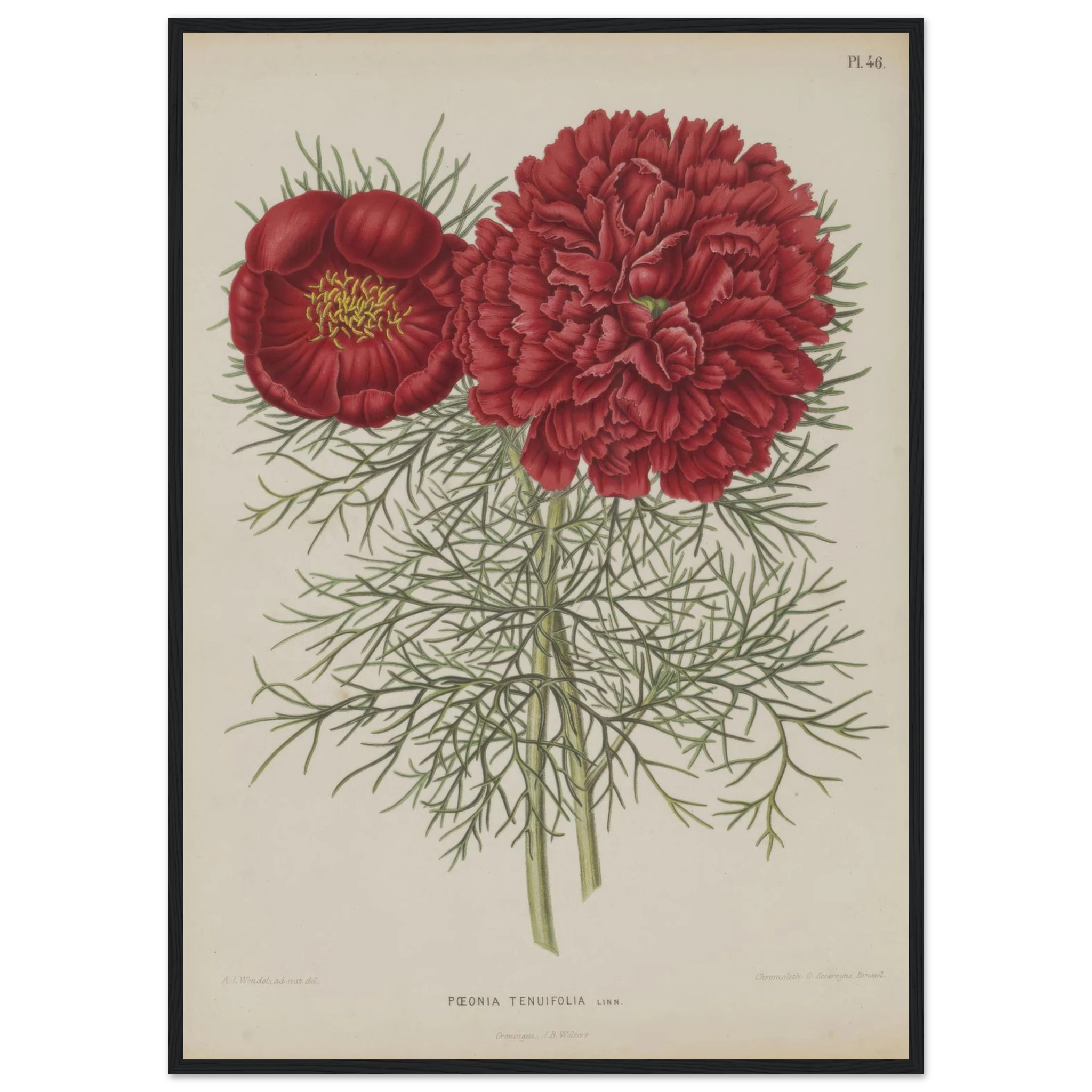 559575c4-c1dd-421f-8073-196c53cd499a