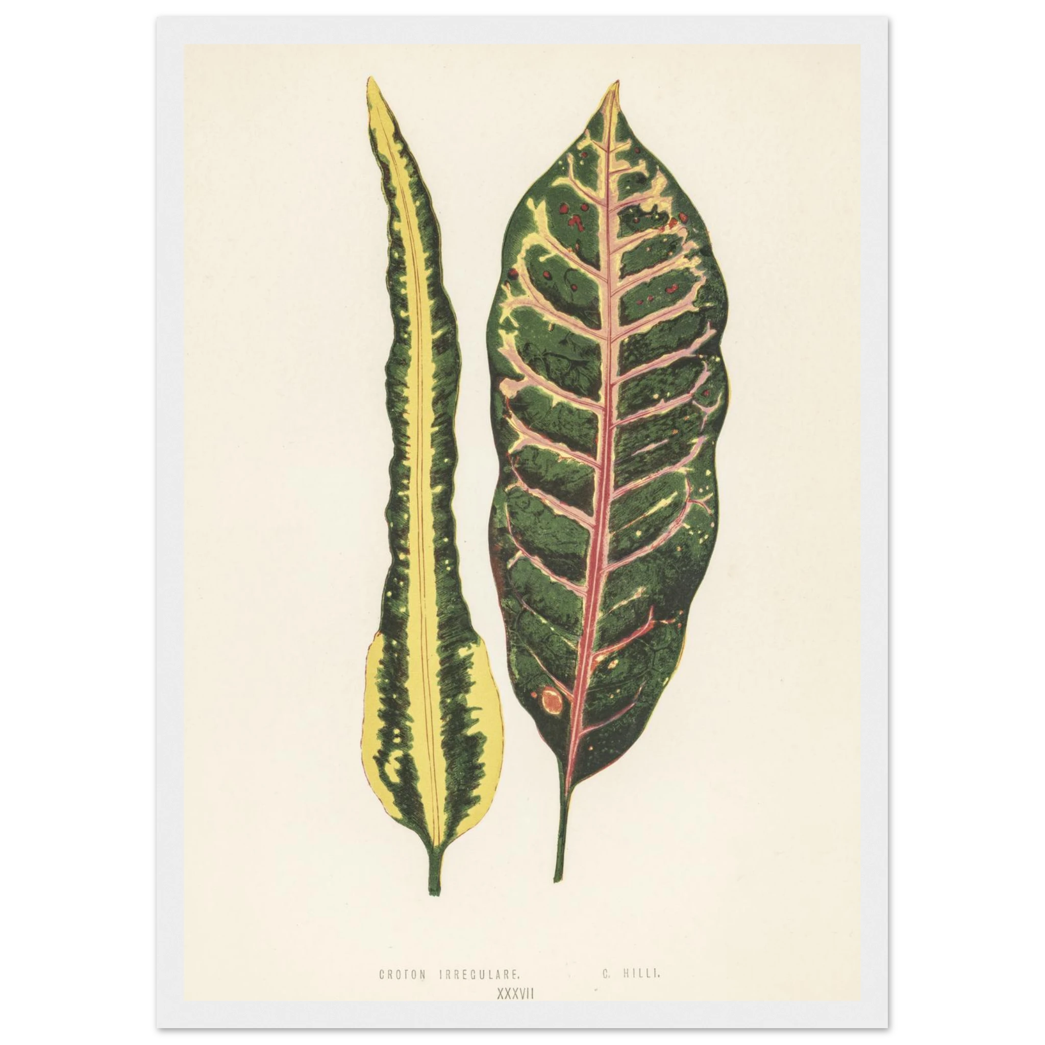 55984ef8-ec5c-485d-a51d-df4f6f1a5ca2