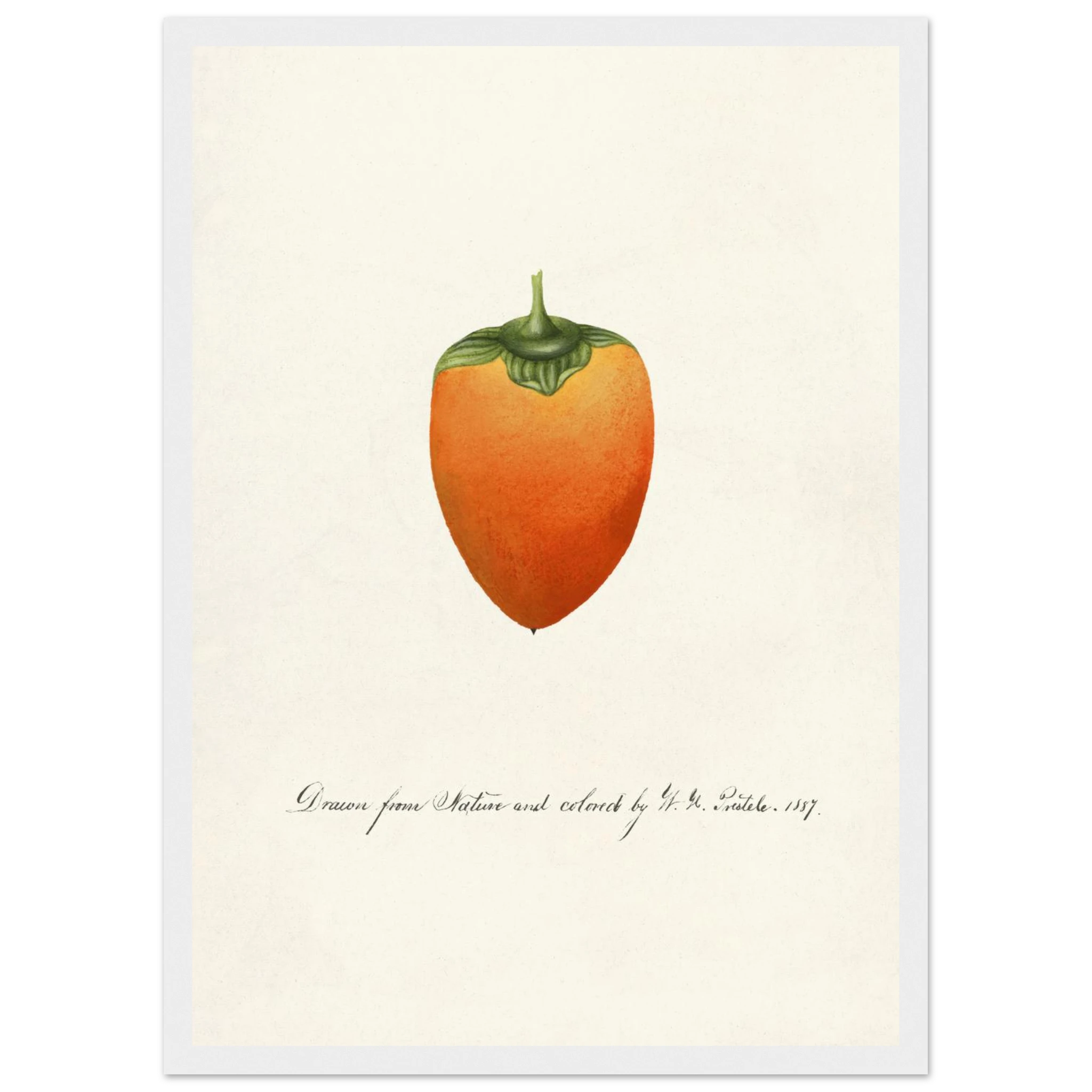 55af8168-e5fe-4b5d-9a22-7cb9b0390f21