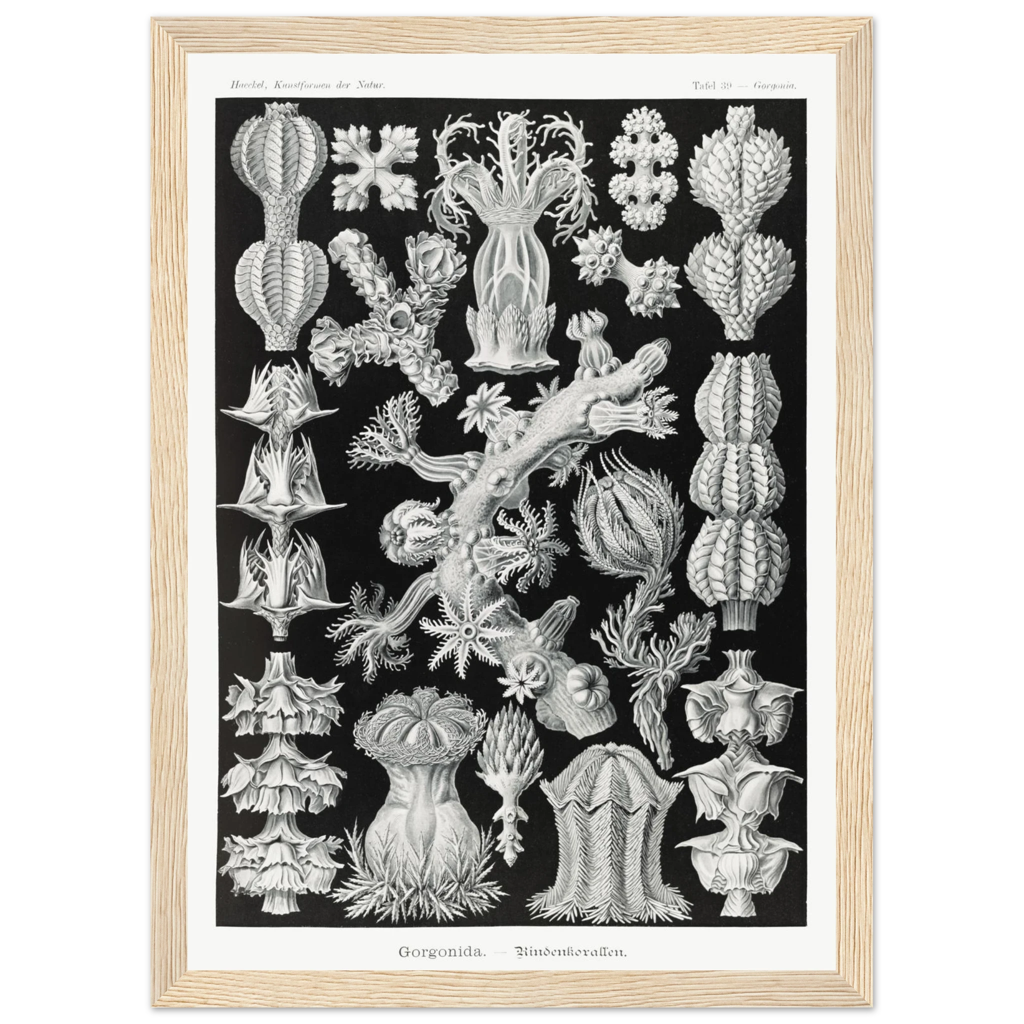 562d8193-c3c9-4500-b461-6ad7dbd68f15