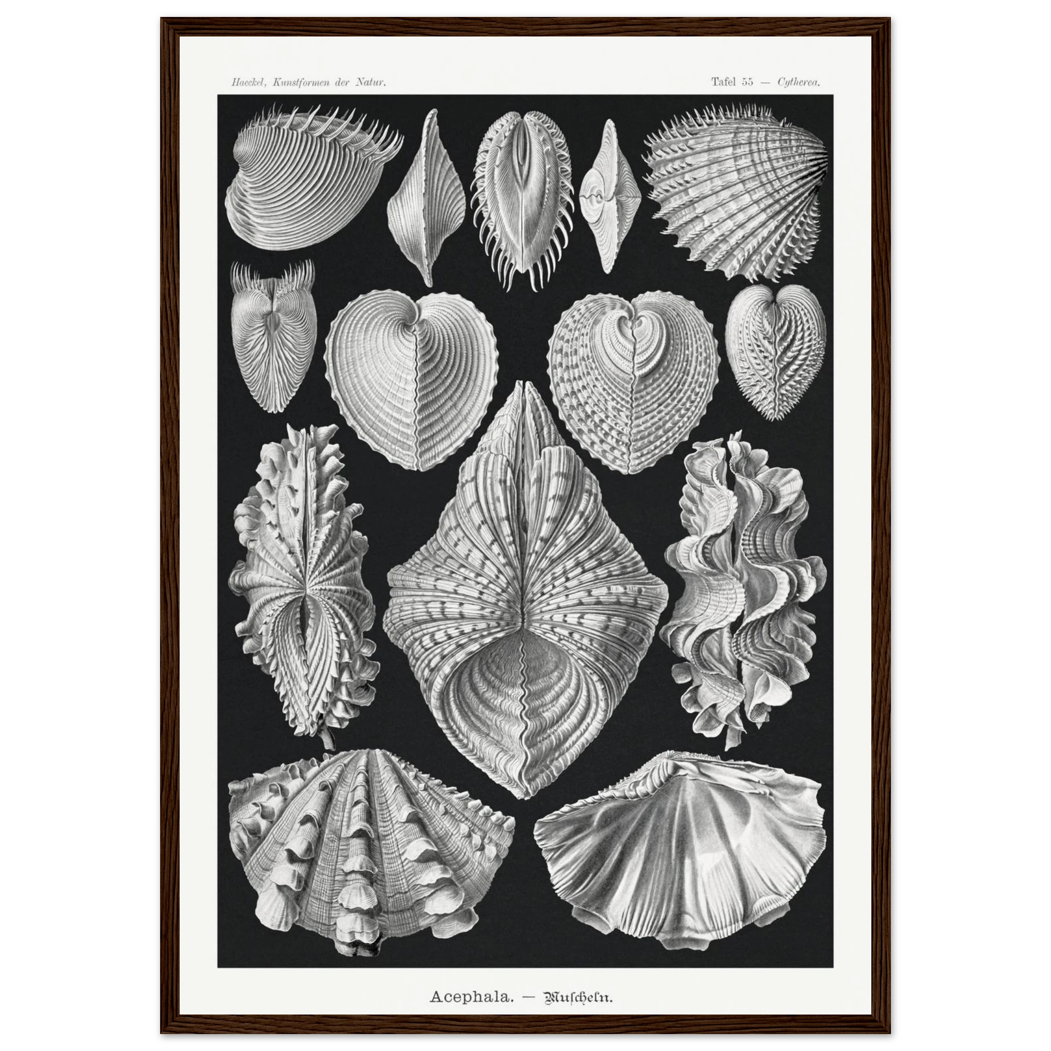 566bc6a3-864e-4c43-b33a-bd08172a0423