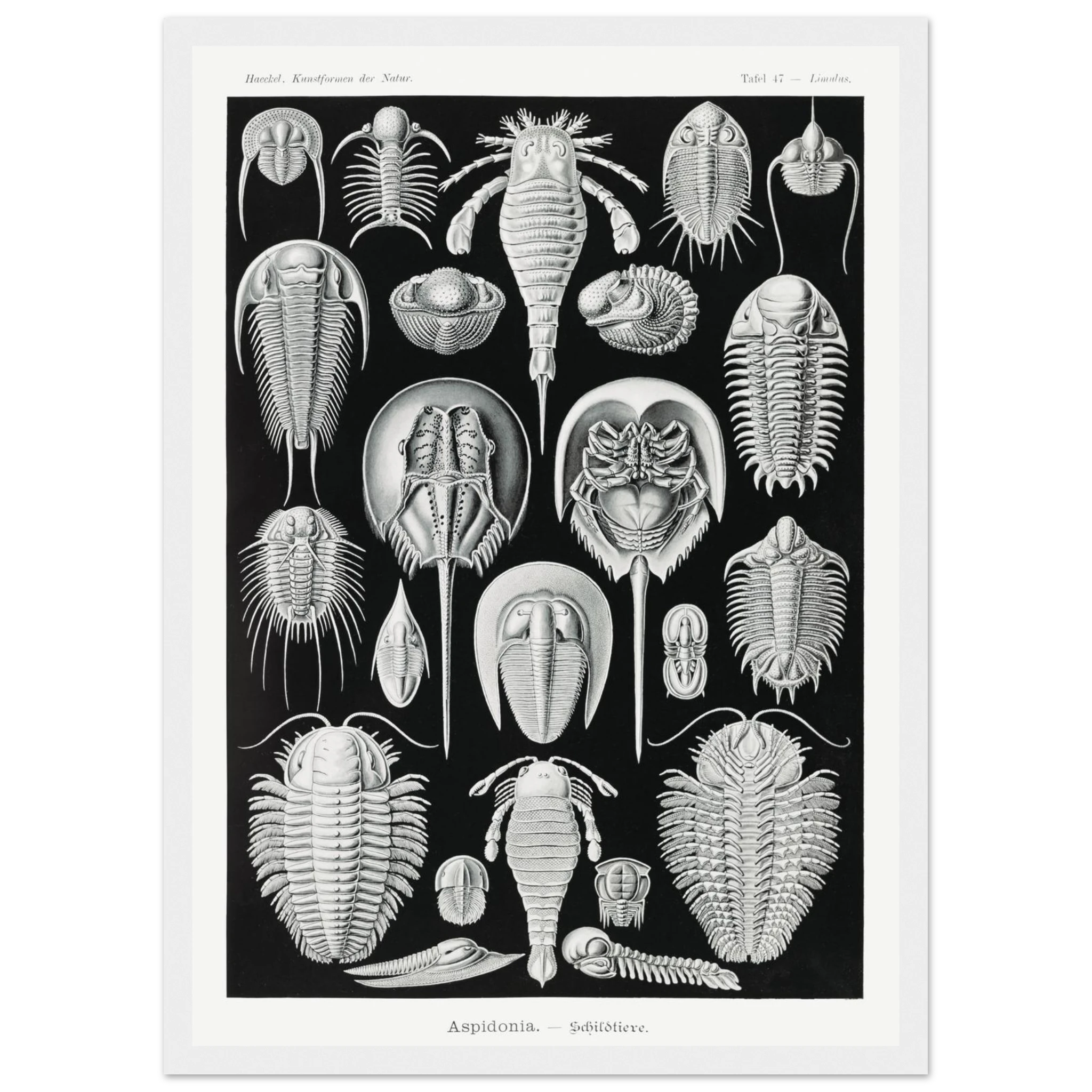 5686d9e9-58e5-4975-bb2c-0d4be1a33960