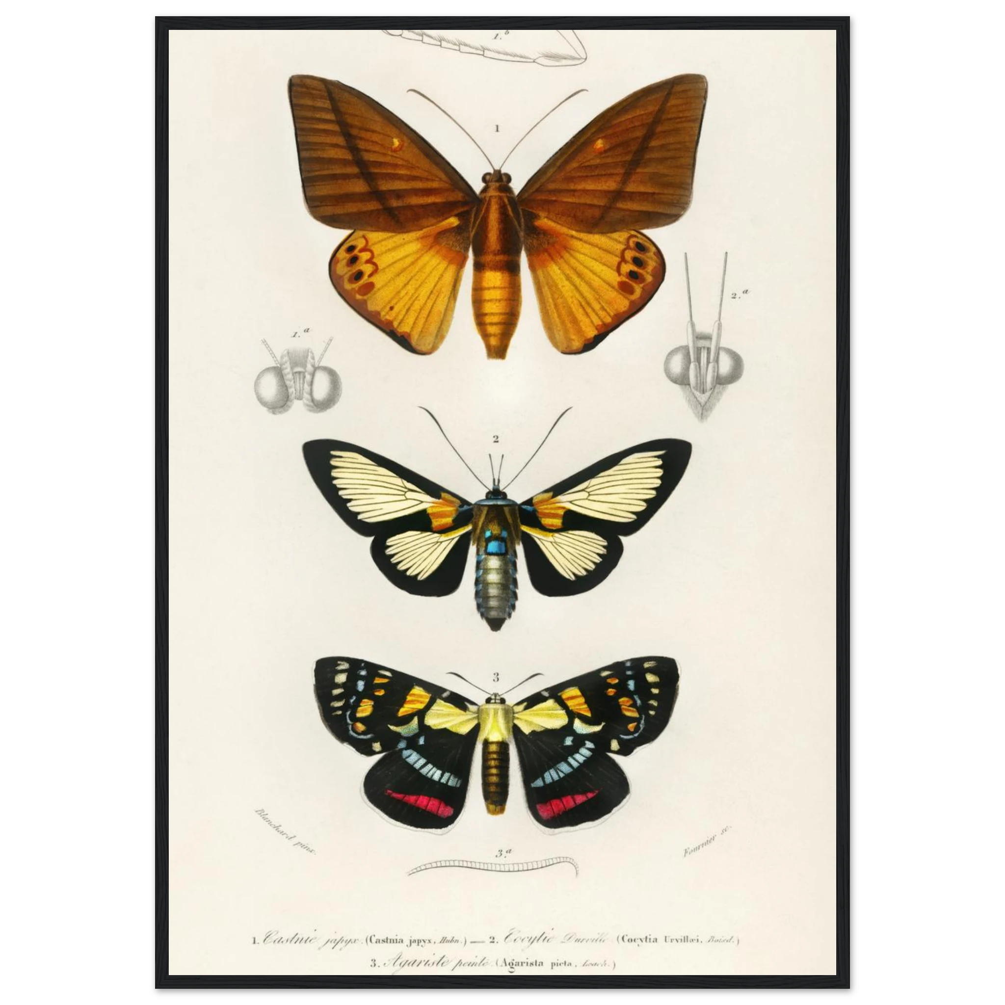 56912d90-d3f8-4c9b-9e2a-4f8fa98d0f86