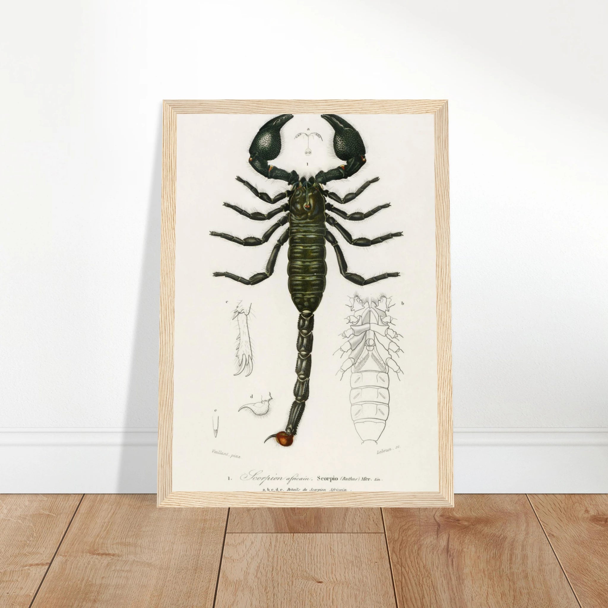 56acdd05-3a86-4ce0-901e-1c6a136fce59