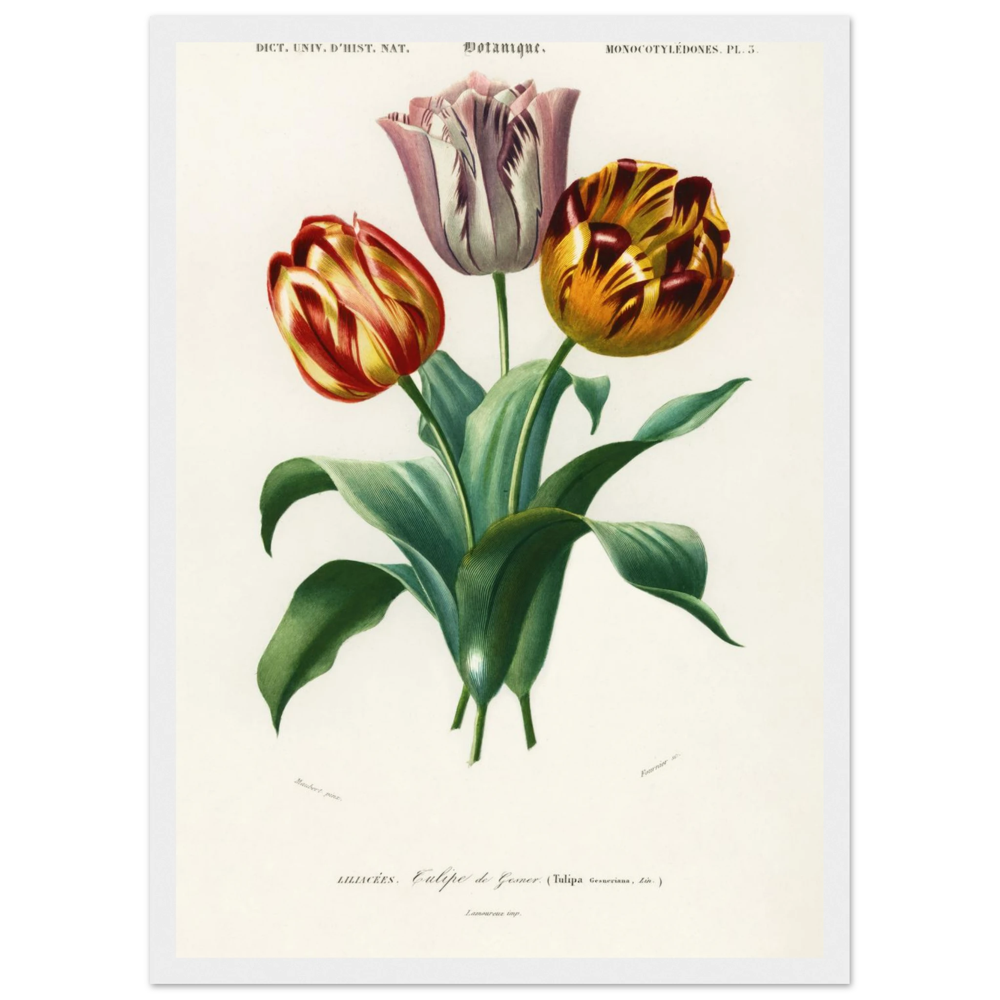 56d64f7a-e8ce-4152-8d30-c9702745010e