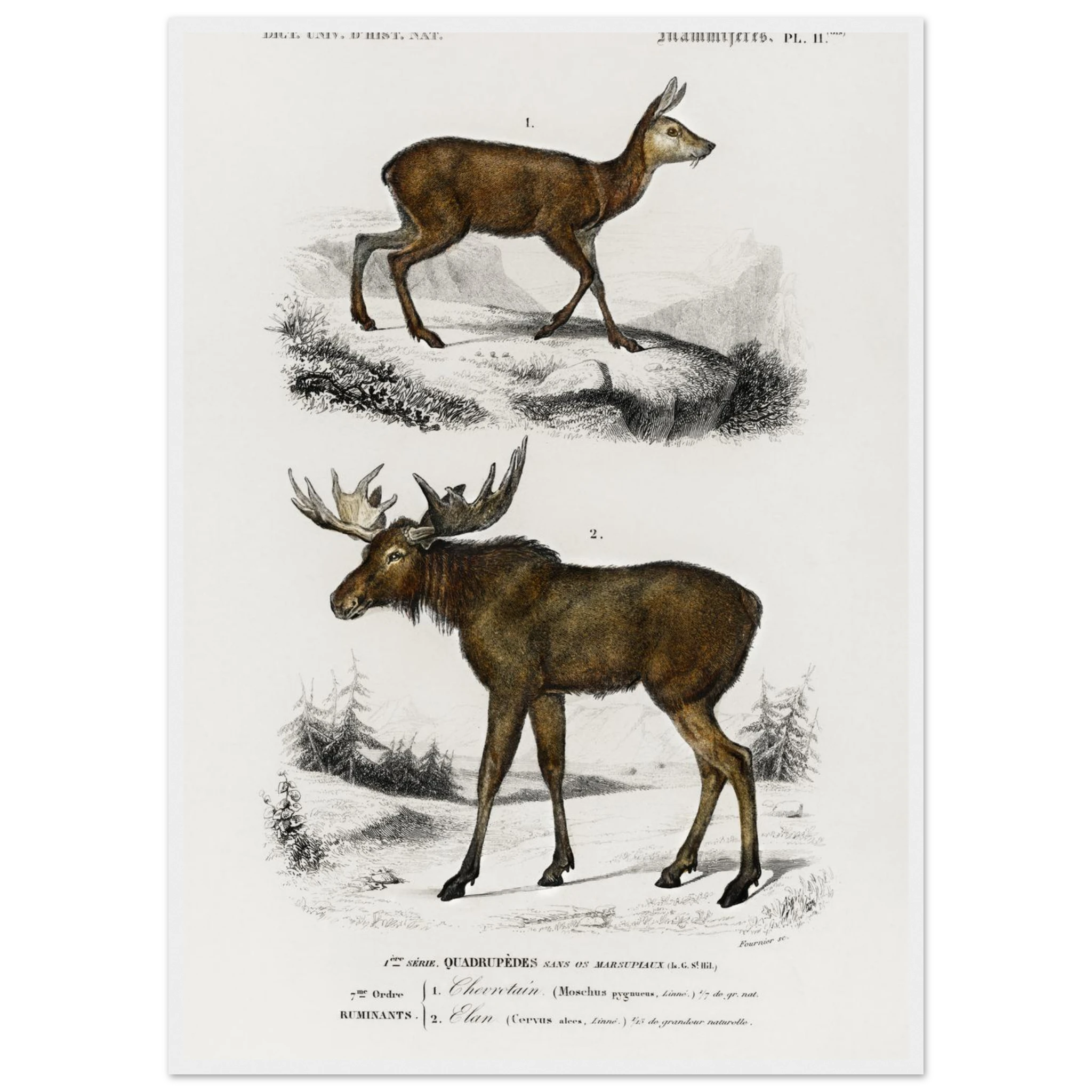 570580ce-2391-489b-b33d-9e2b99cecdc6