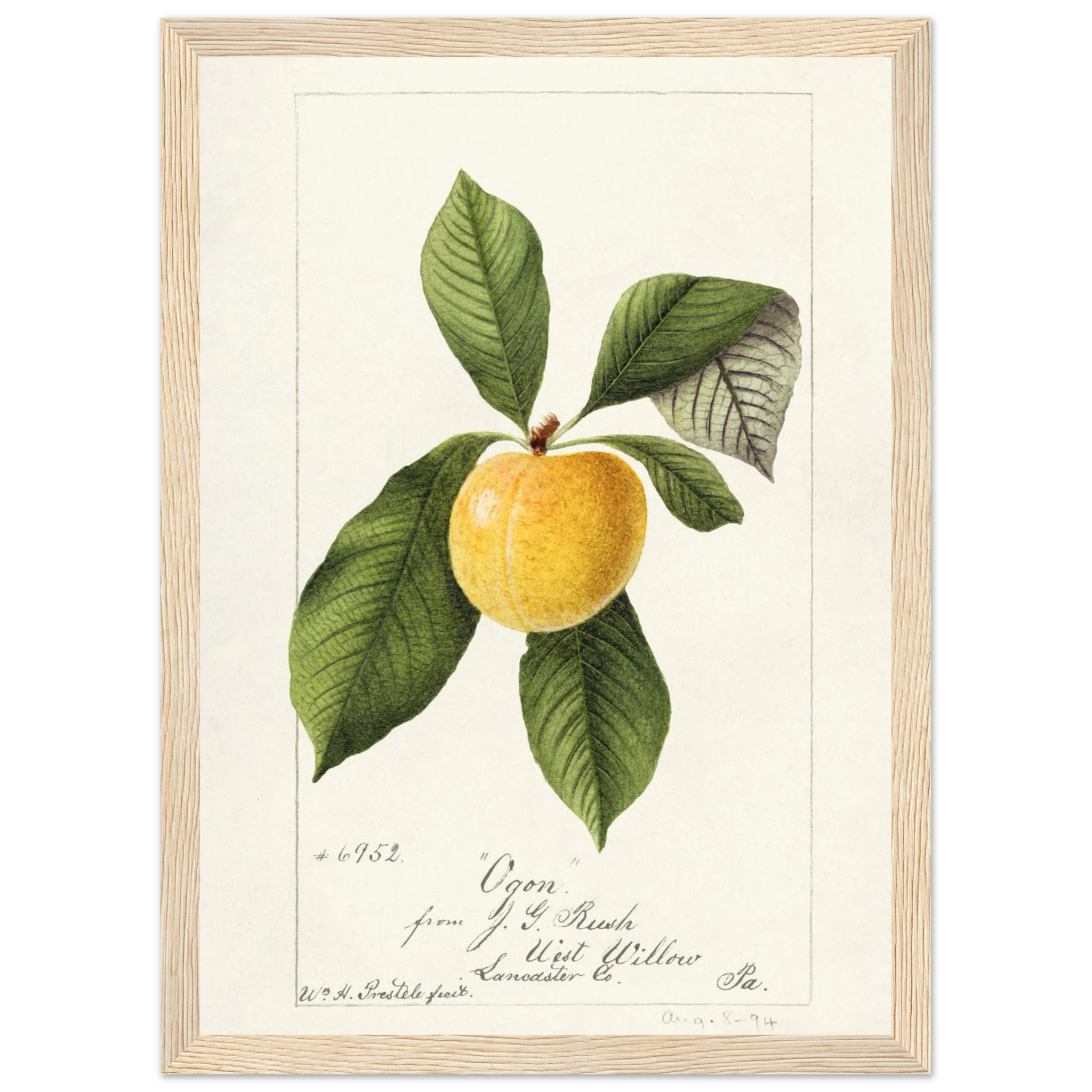 572f4e17-92c2-406b-93c1-0e546cee6abd