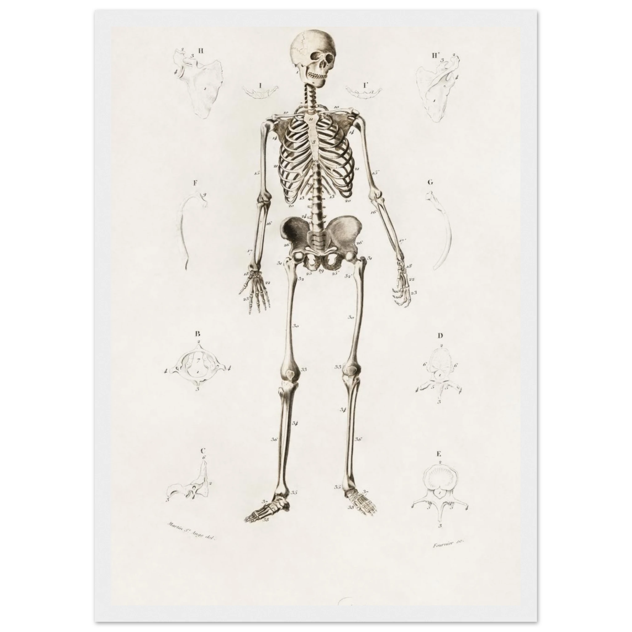 575fa0a6-d26a-4728-90c5-4d6332fd35ae