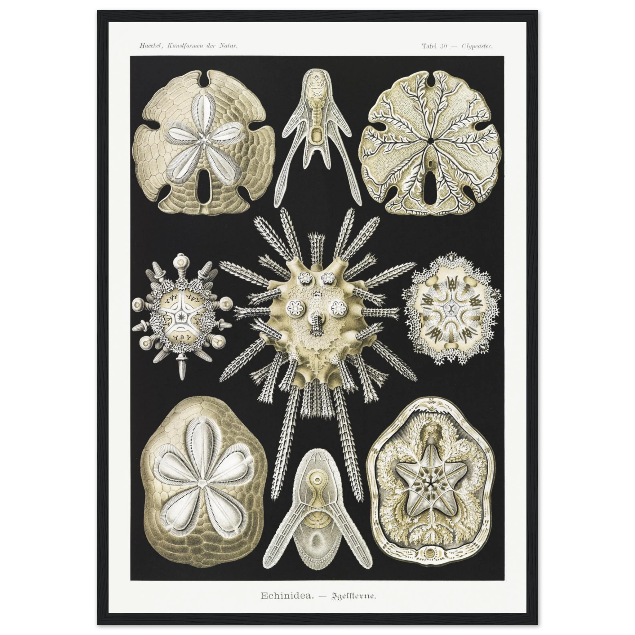 5769bff0-f907-43ea-8356-1e5e7e716642