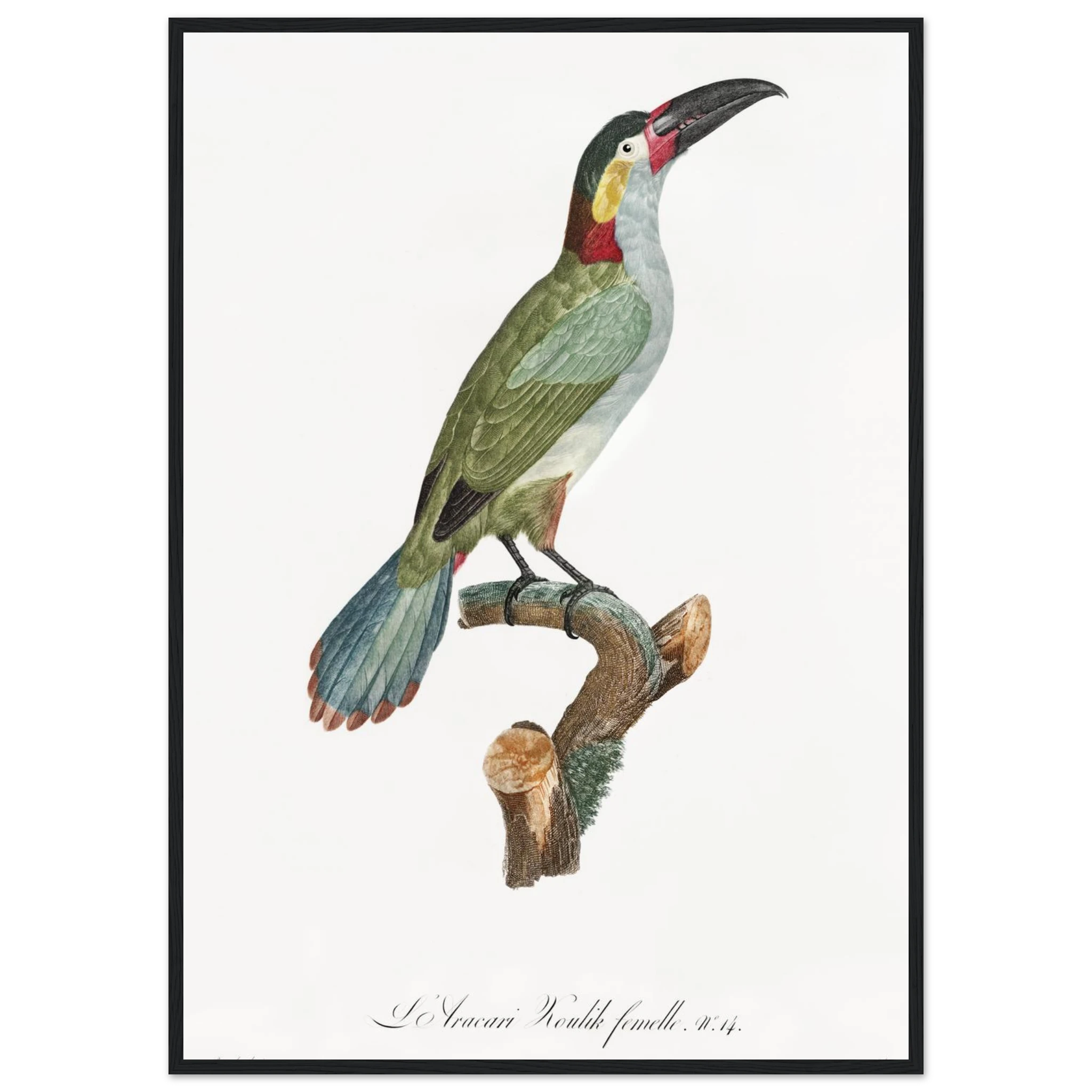 5777104c-d4ef-48ef-b72e-398fe2c9dd0b