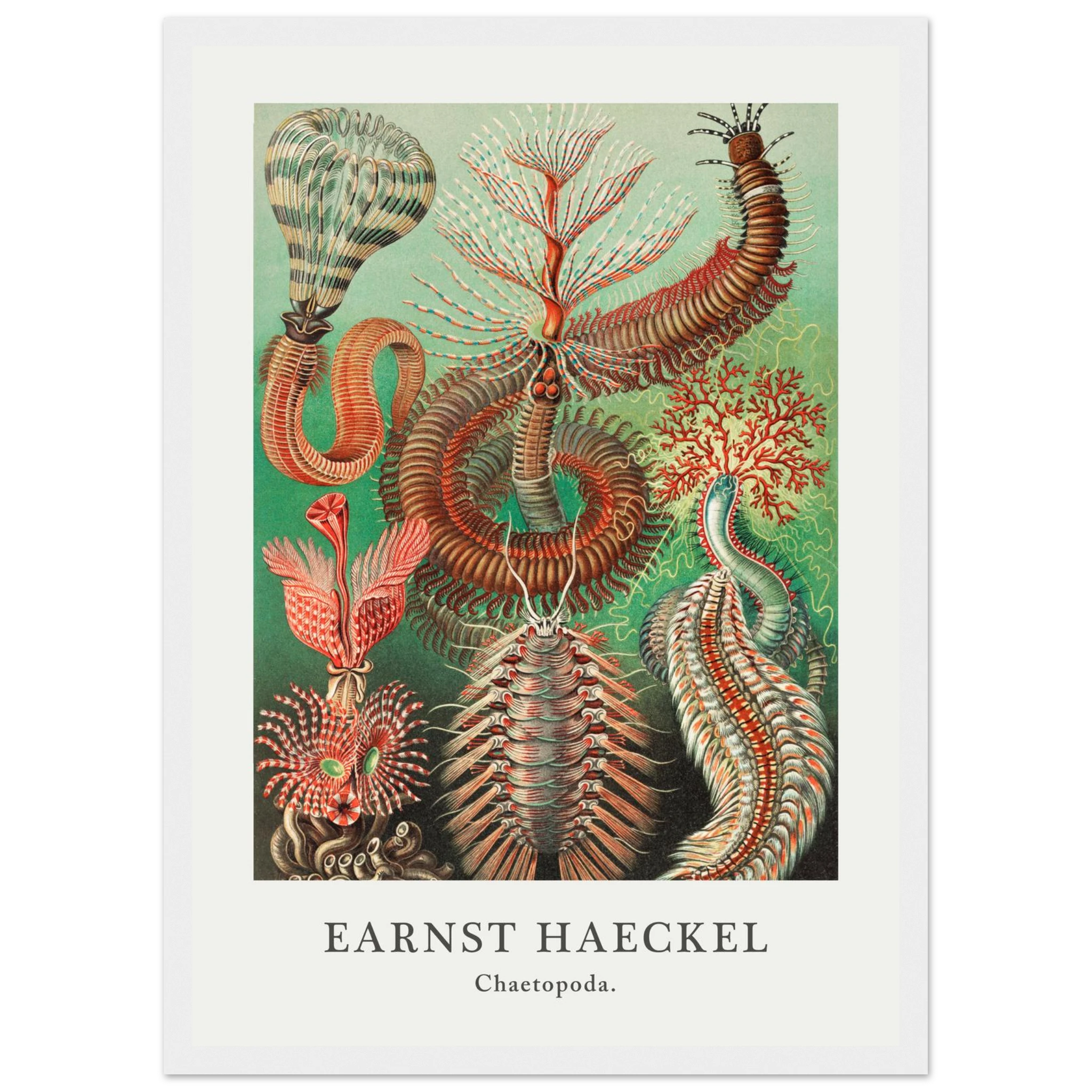 57a60a69-c6d5-4c39-86a5-6f2df8aa57e6