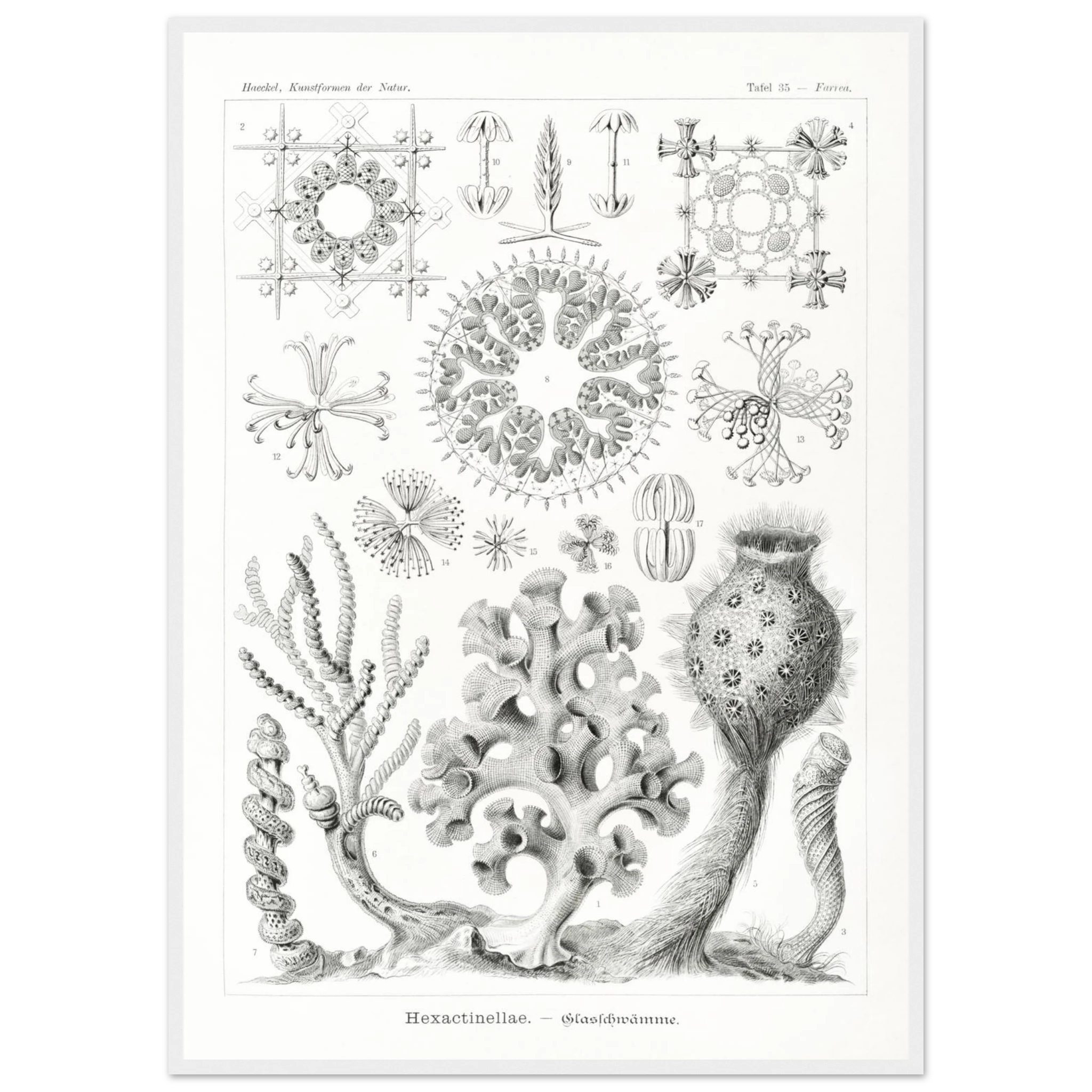 57b34ee0-fd40-414b-88e4-85b0b5b01db5