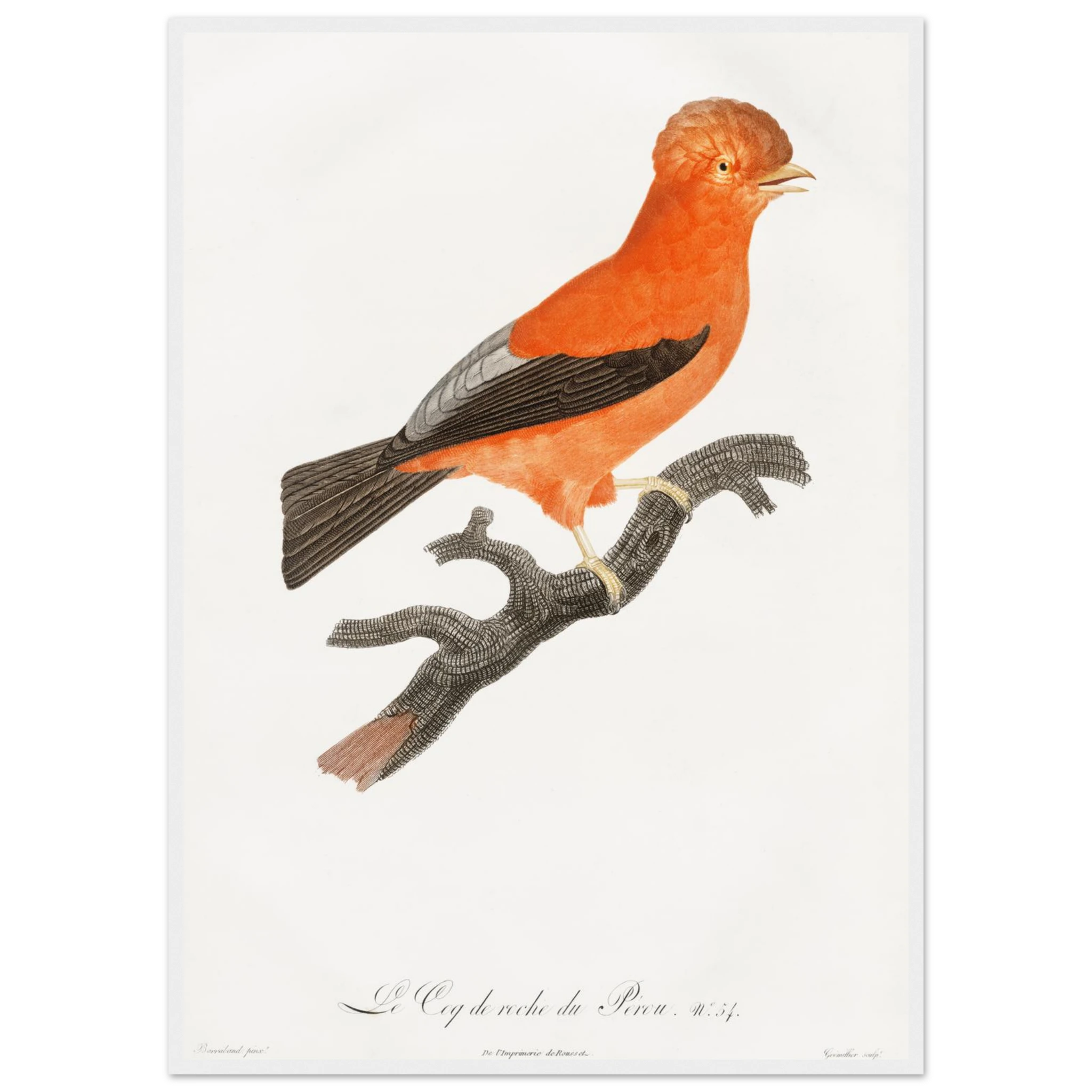 57c8128c-a3d5-4608-b26b-ba8977a77d74