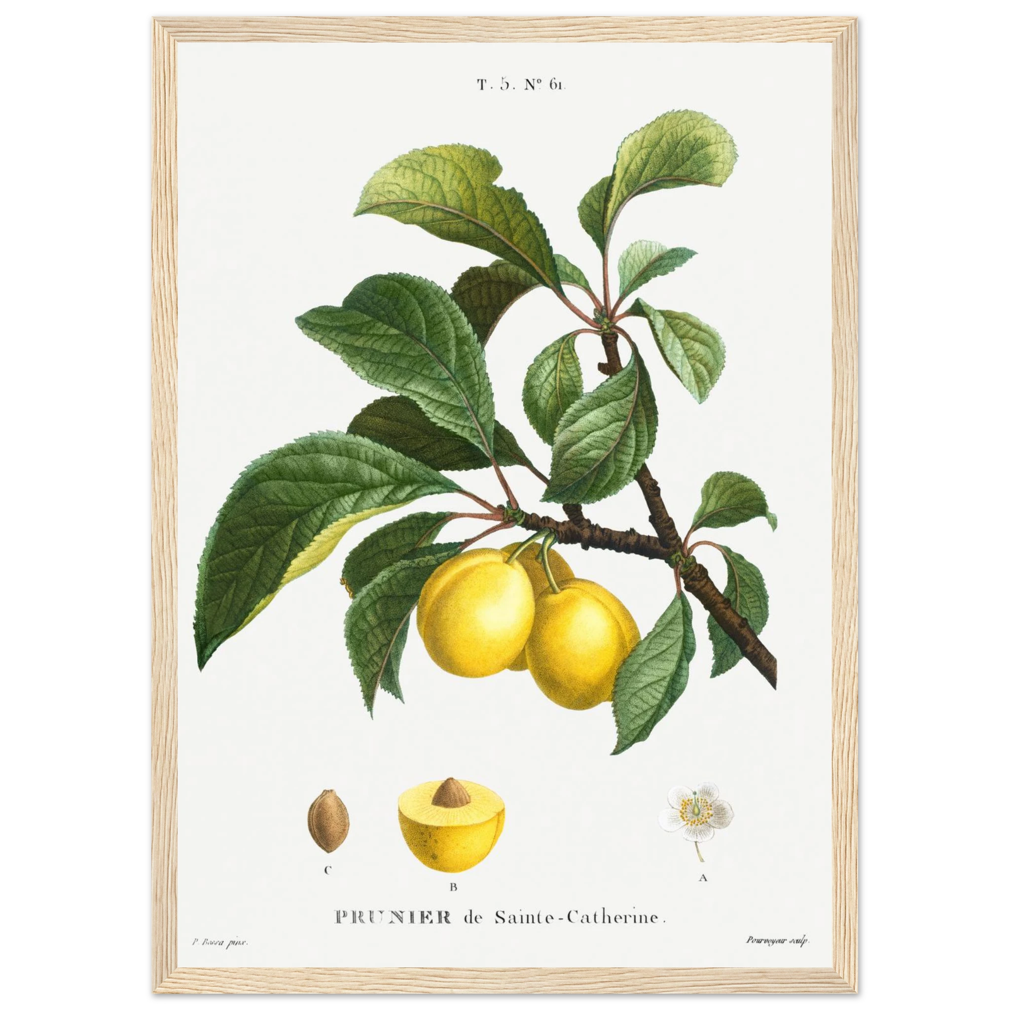 5803caaa-8960-4333-bfd5-638763ee5251