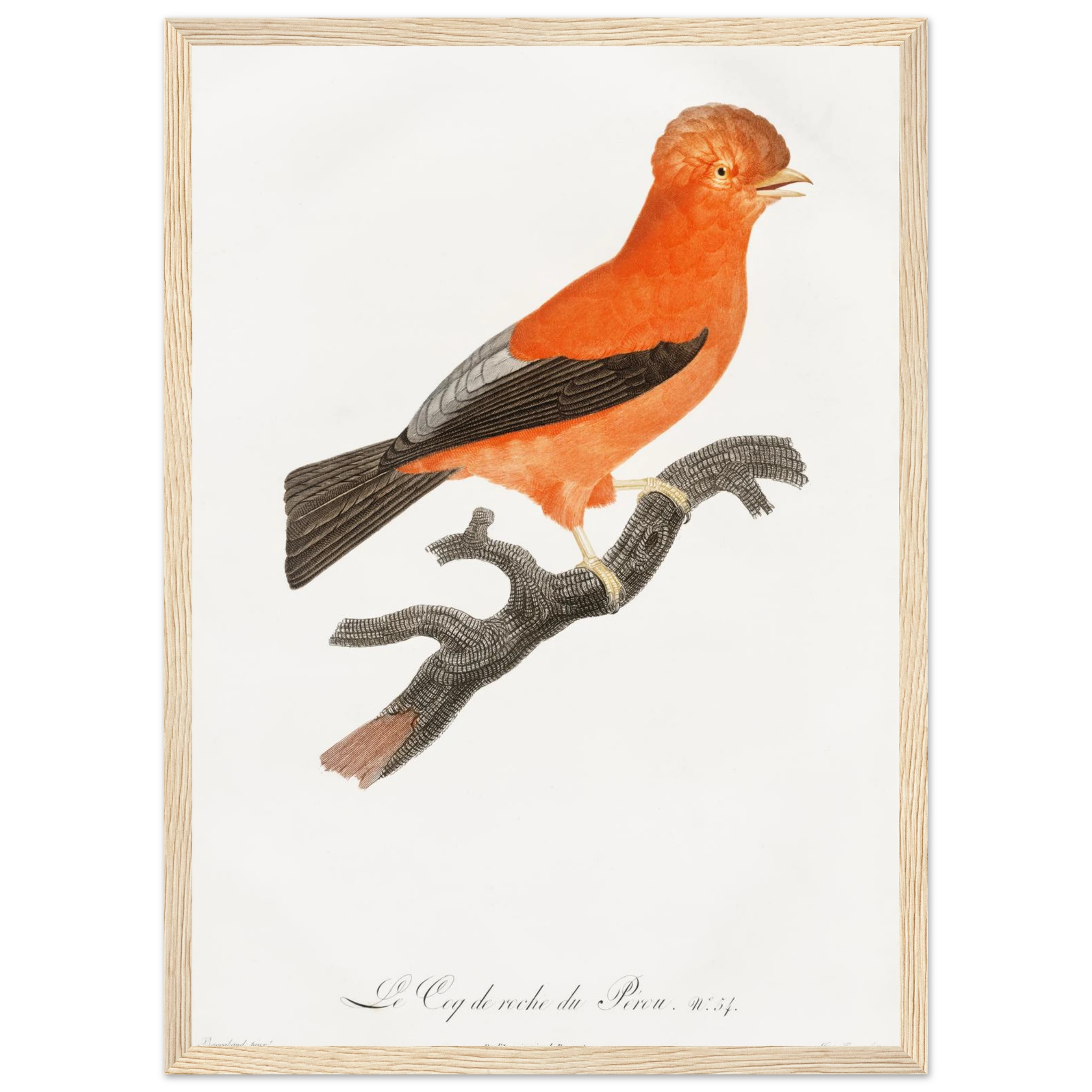 58431912-c43d-47b8-9d1b-b02b7ac1098c