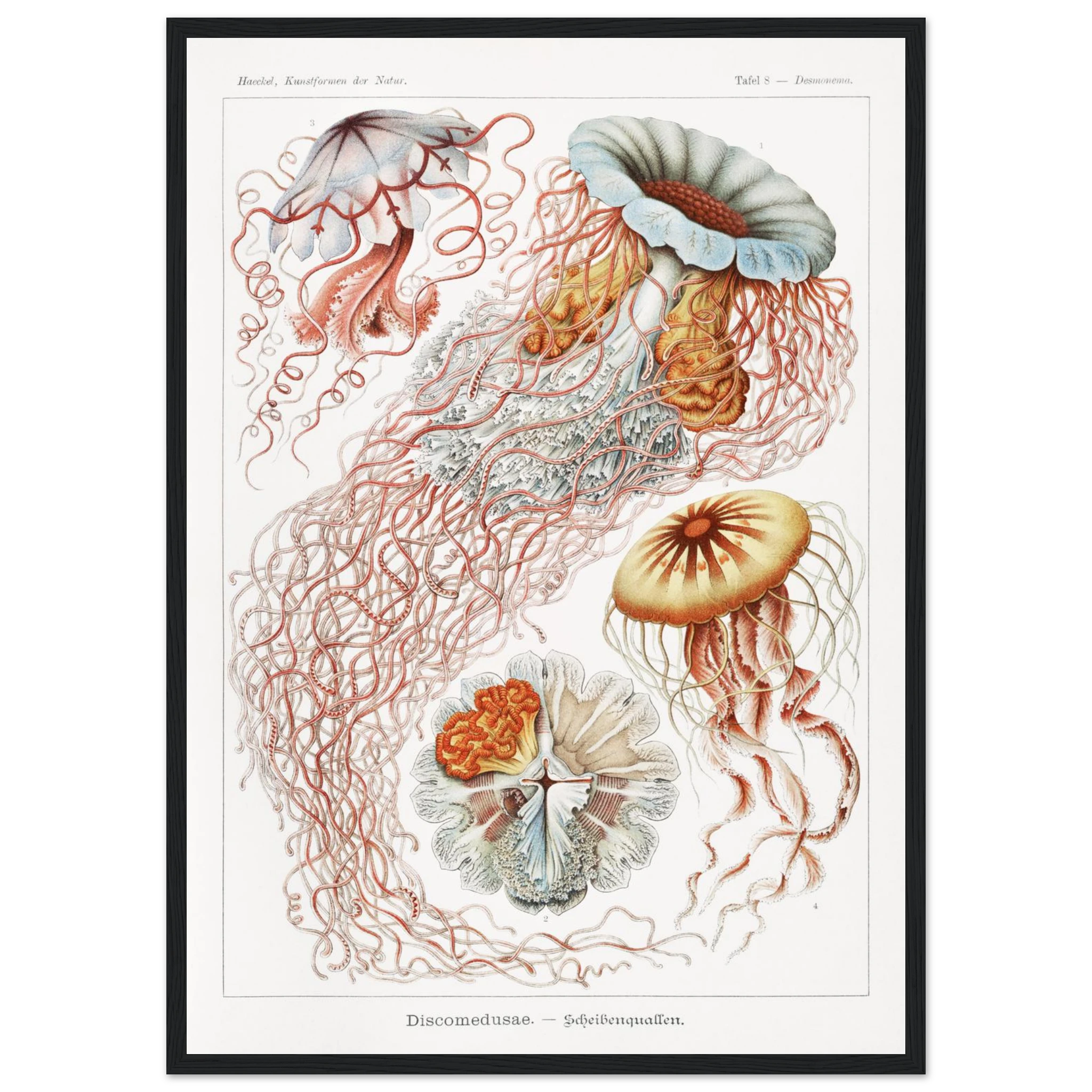 5843b21e-f7b0-4d67-a962-cd389b4c06fc