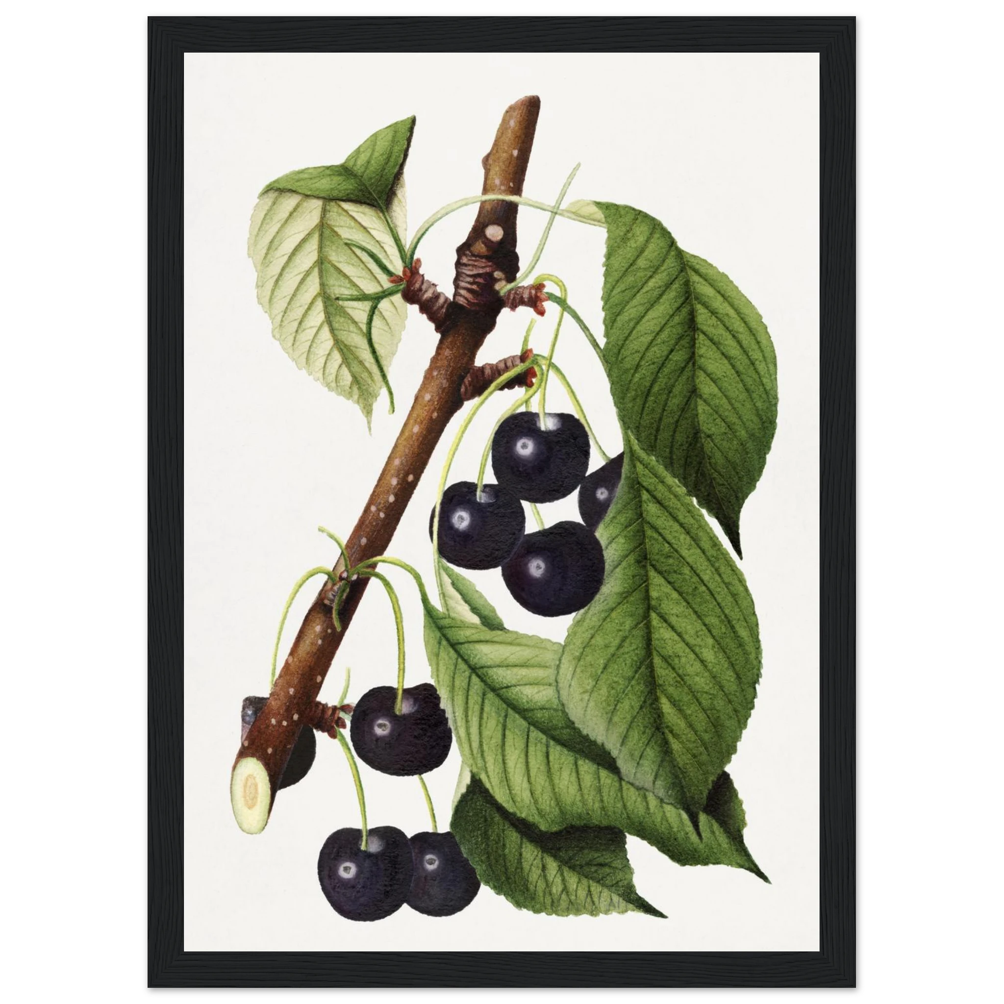 584cc65c-f8f9-4b01-afe8-13c51d510374