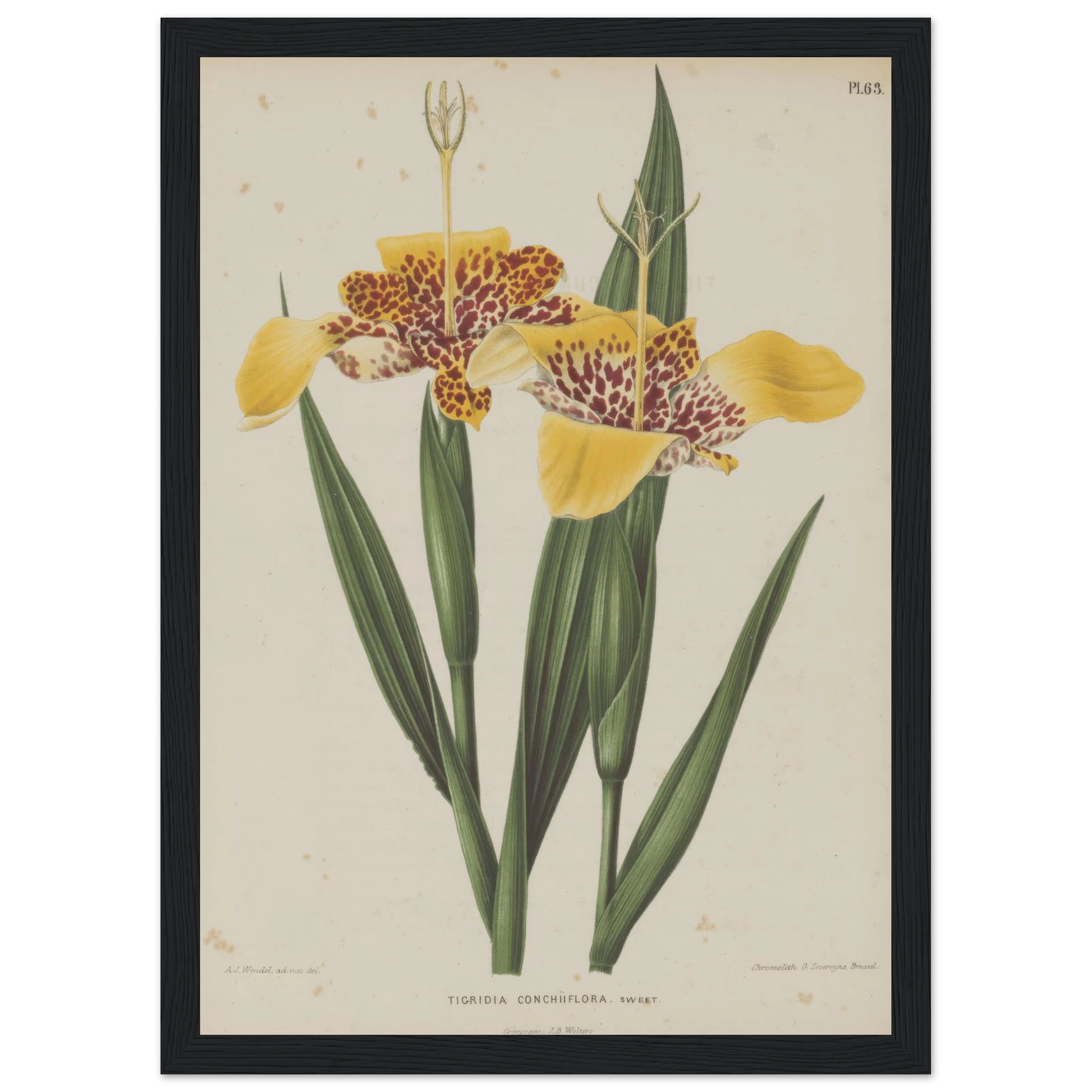 585e3ca4-283e-422c-94a8-f199142cd615