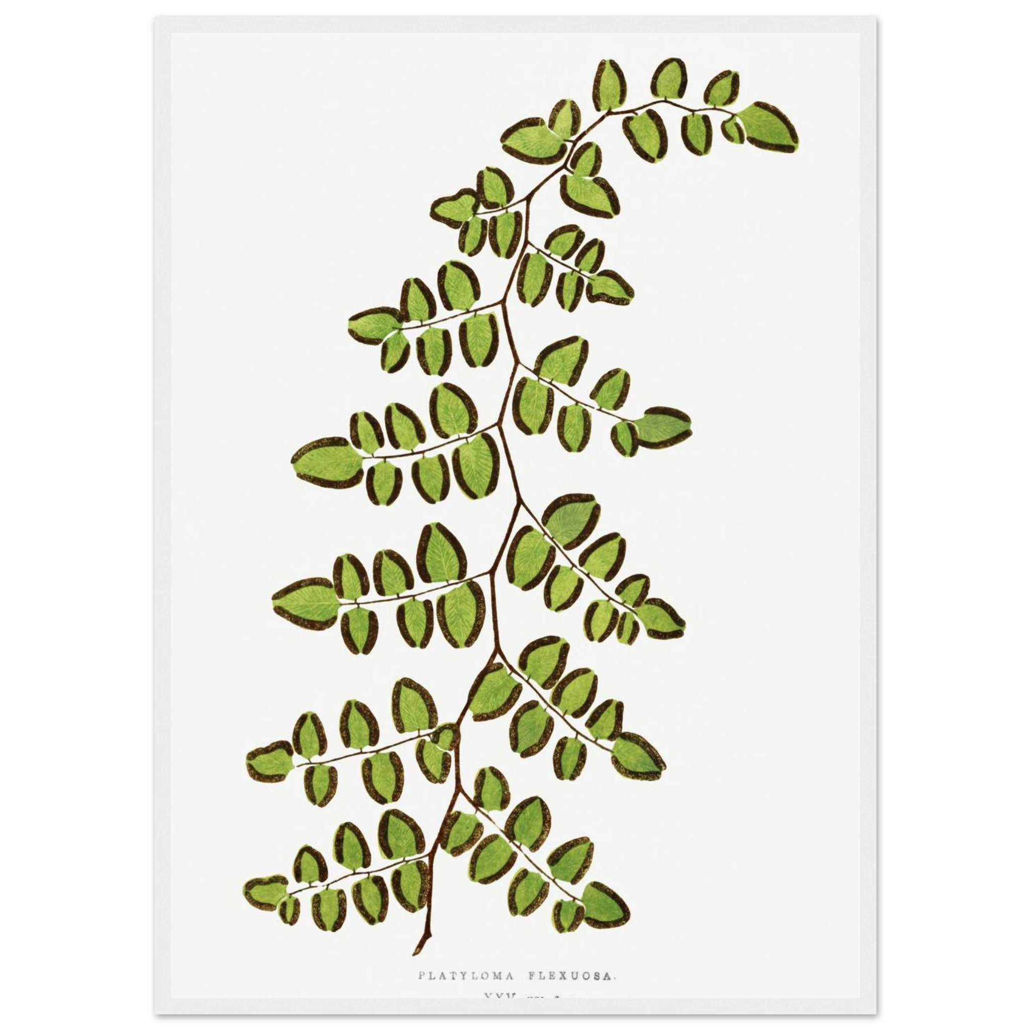 58c9befd-1bdf-4c4d-908a-9b0738b46a4a