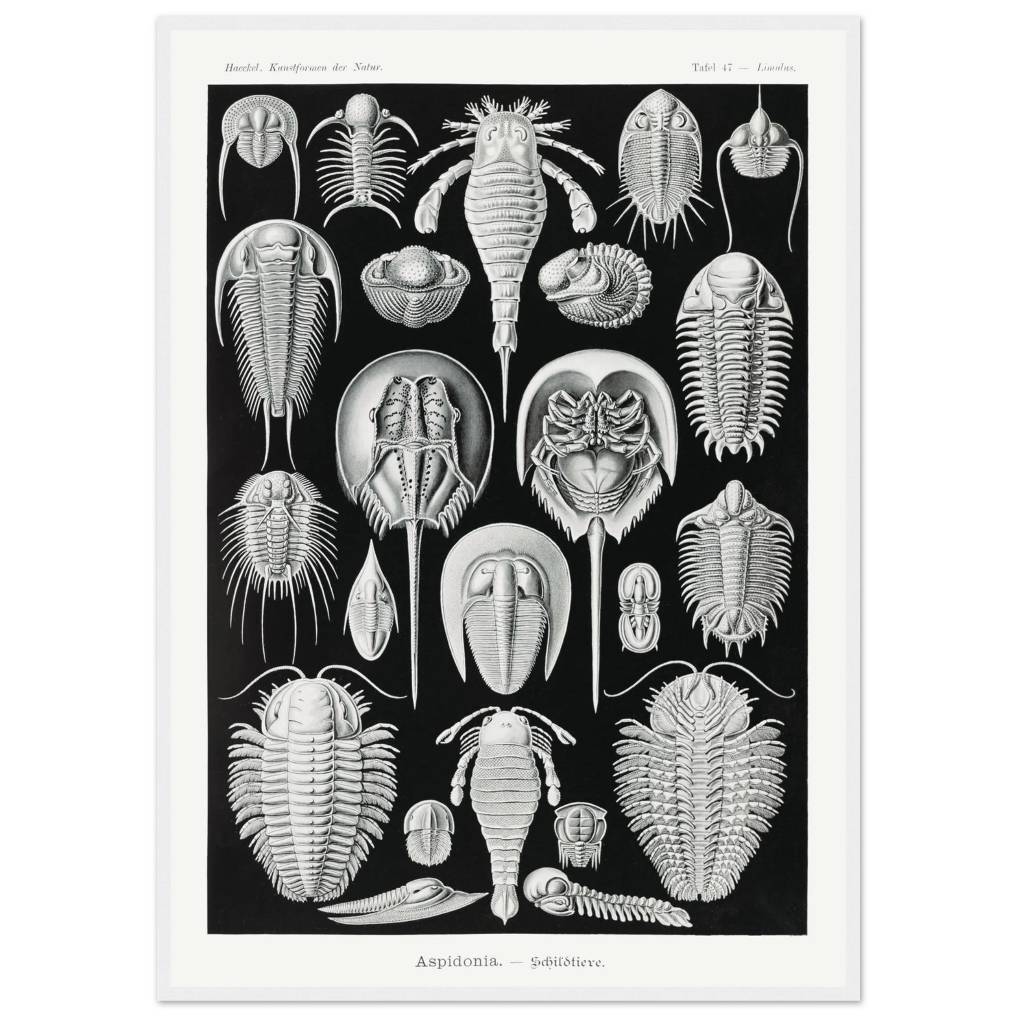 58ec5e26-03cd-47e5-ad27-380c21444c84