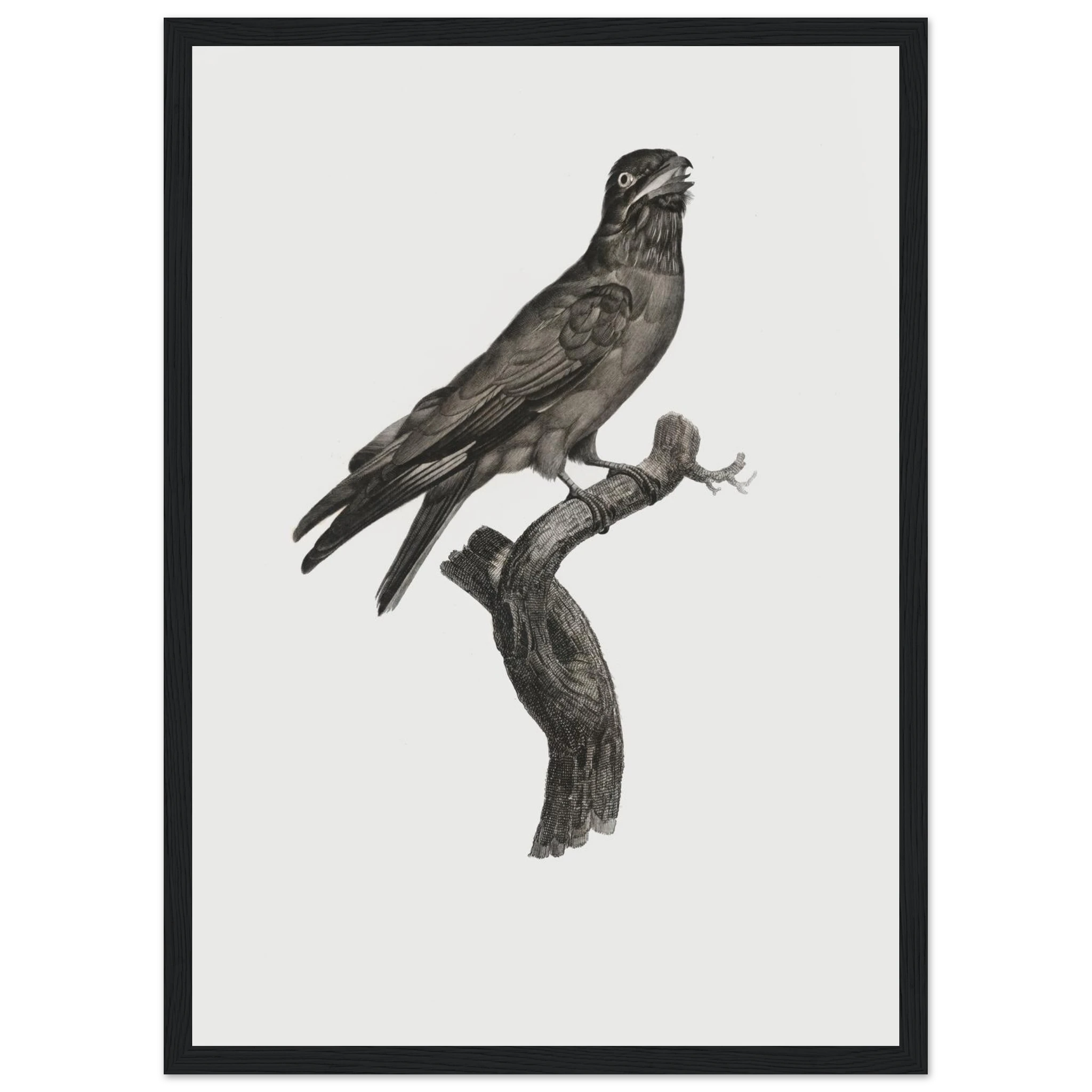 590db87e-207a-414a-b3f2-5ae878a981ec