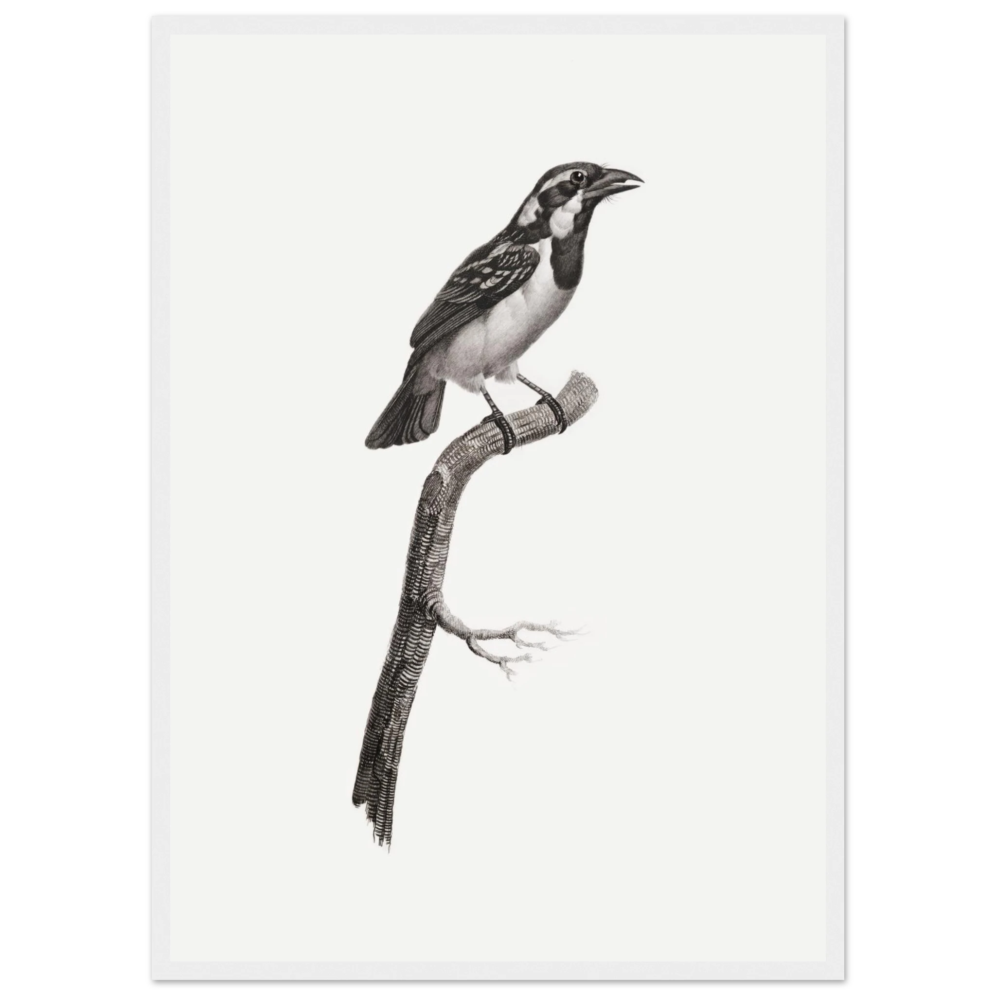 593e1c13-2bad-4c3a-8758-debea48dea41