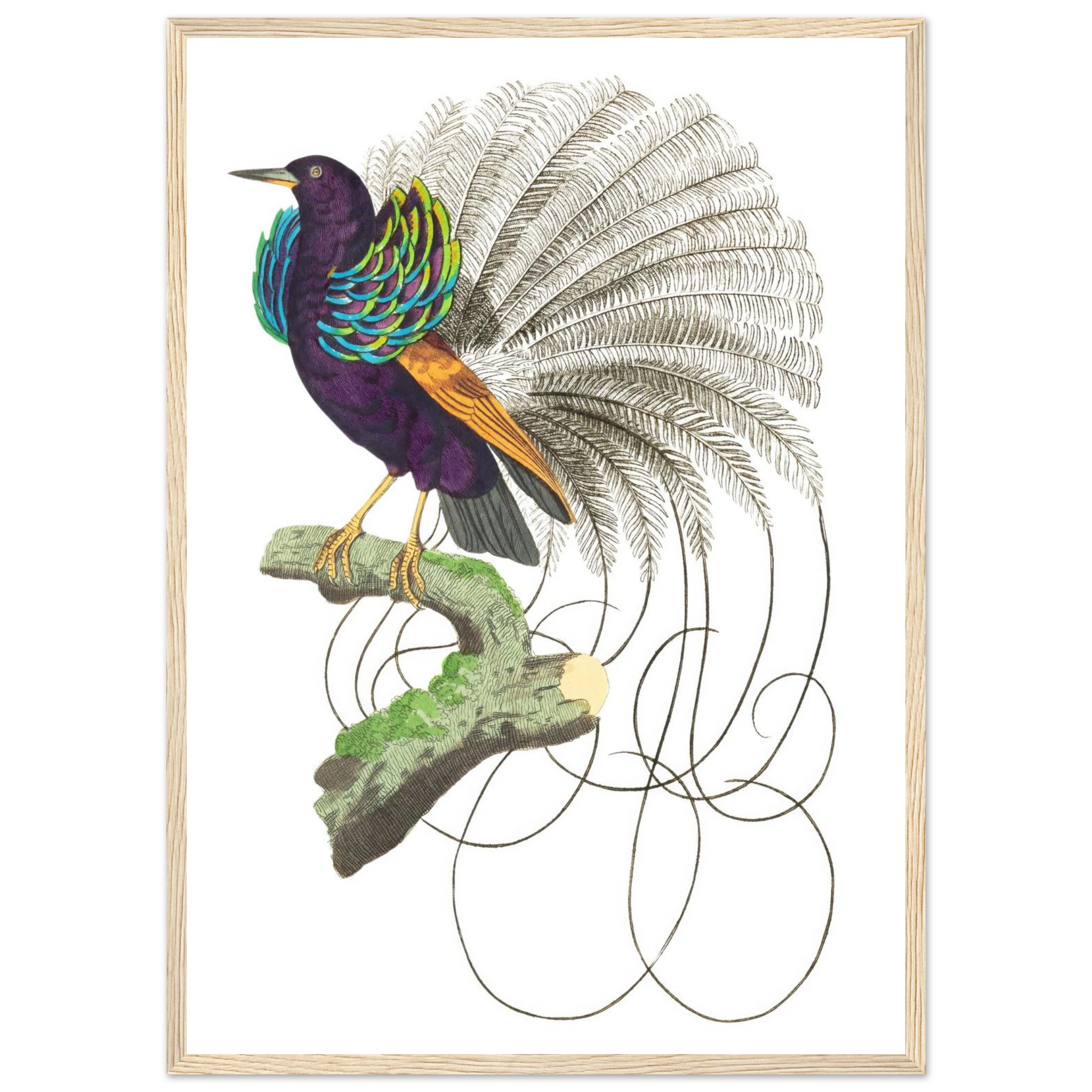 59c9a447-a49e-46bf-917a-c6ee3fc4a297