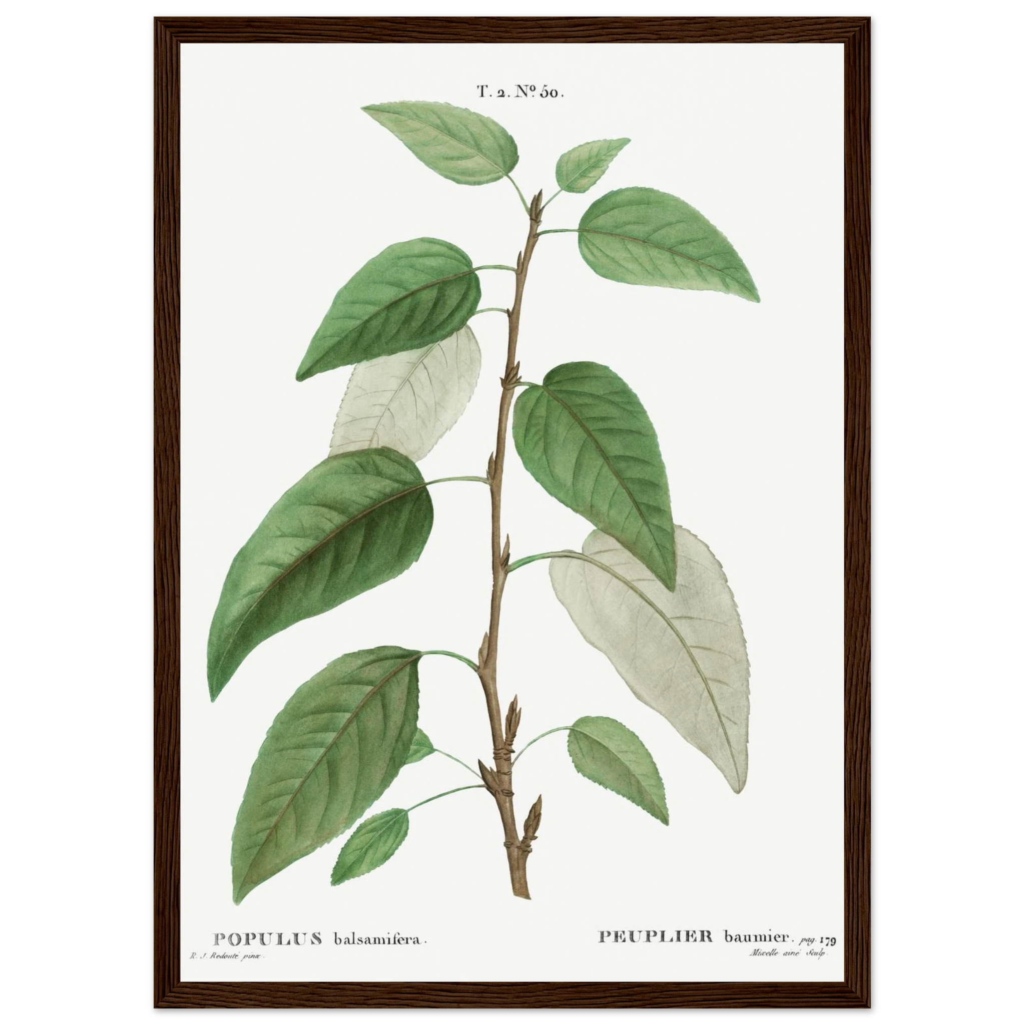 59f8c4b2-bda6-4603-a0a3-45617009e442